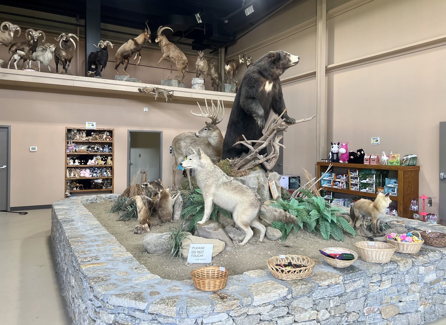 Local Fauna and some Mountain Game