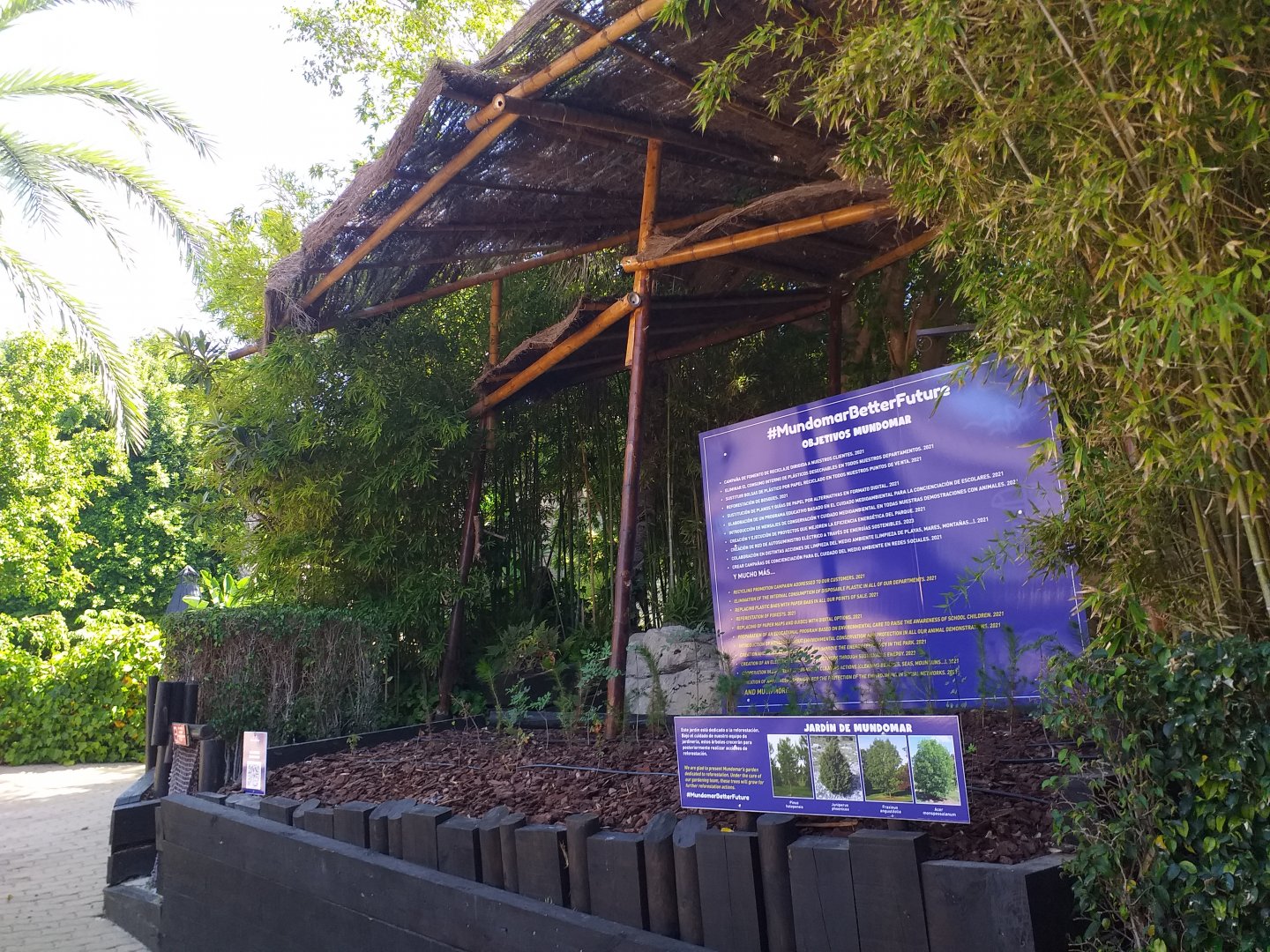 Local flora corner for reforestation projects -MundoMar Benidorm (2021)