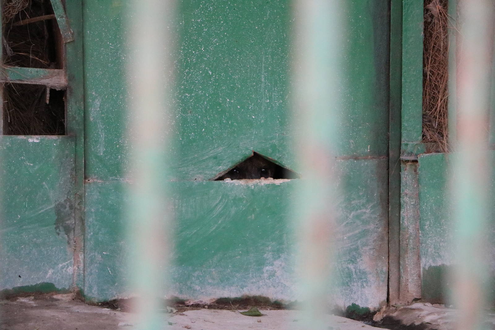 Locked in, February 2016