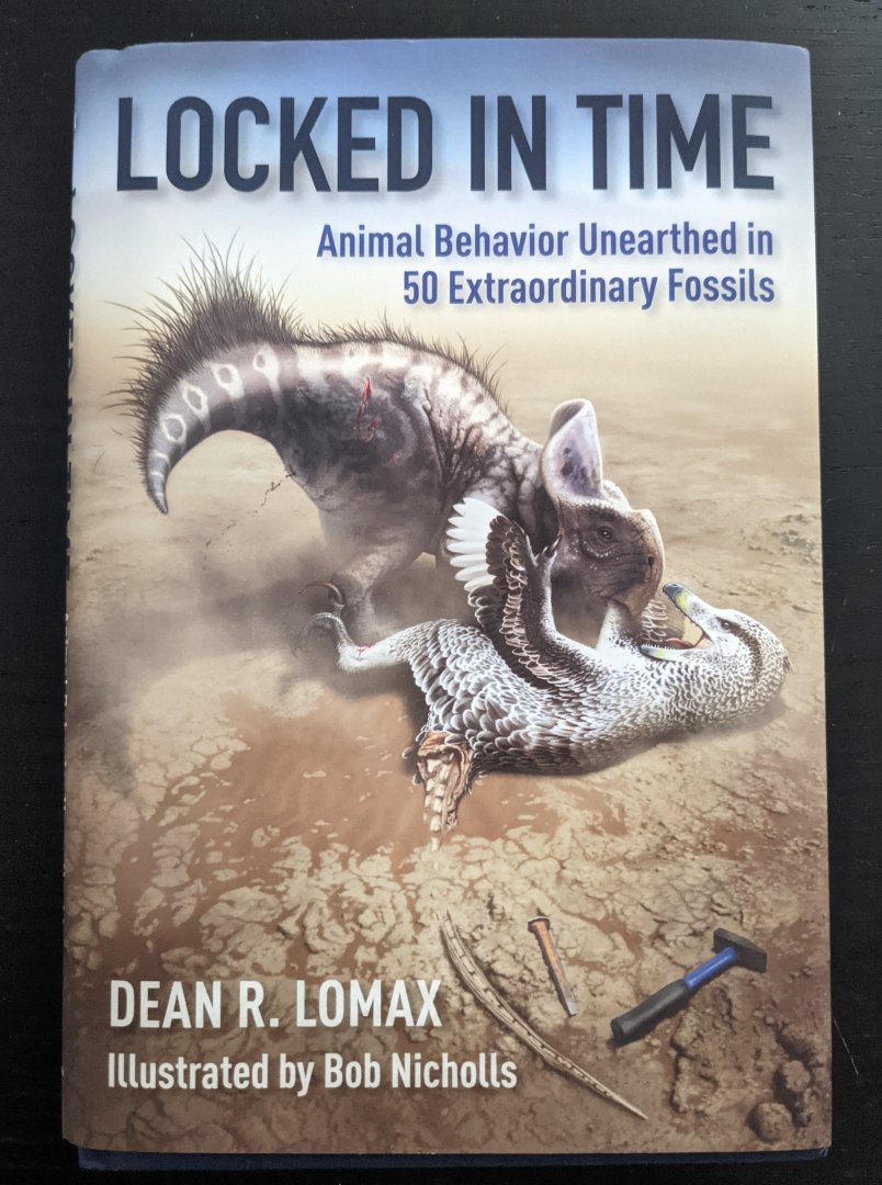 Locked in Time Animal Behavior Unearthed in 50 Extraordinary Fossils