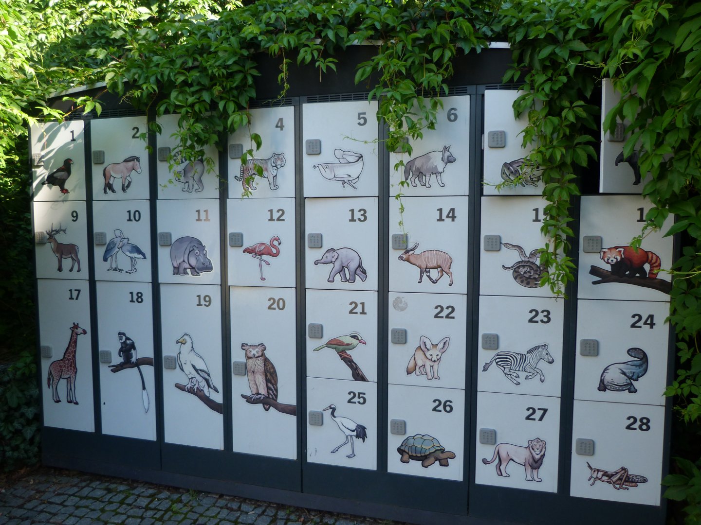 Lockers -Zoo Praha (2025)