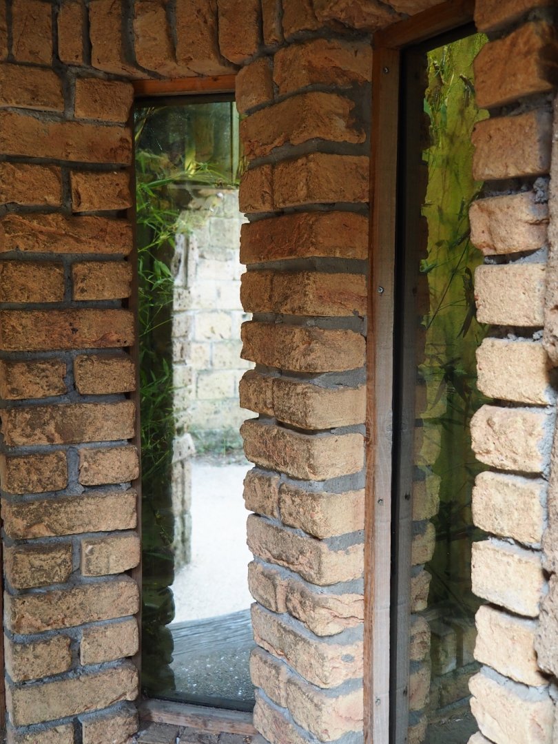 Locust terrarium viewing windows