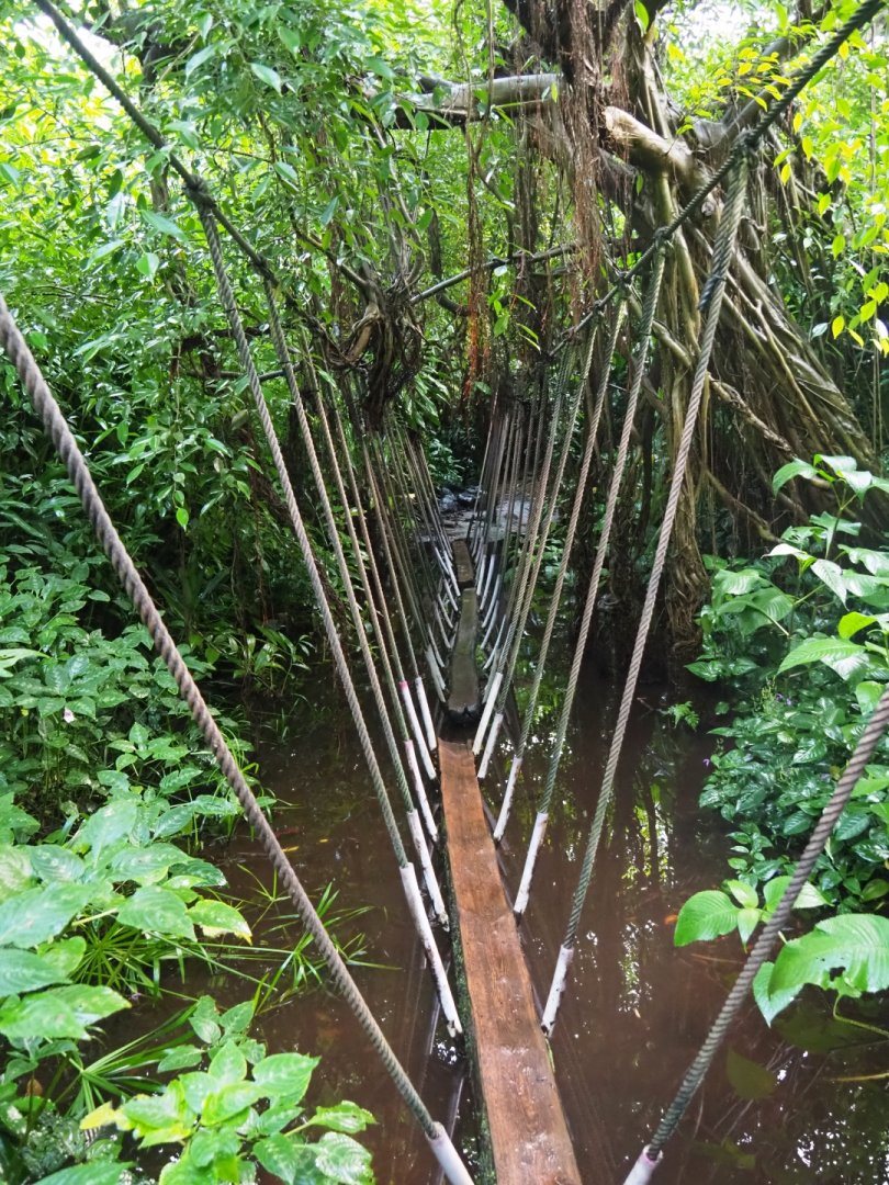 Log bridge (Sep 16th, 2018)