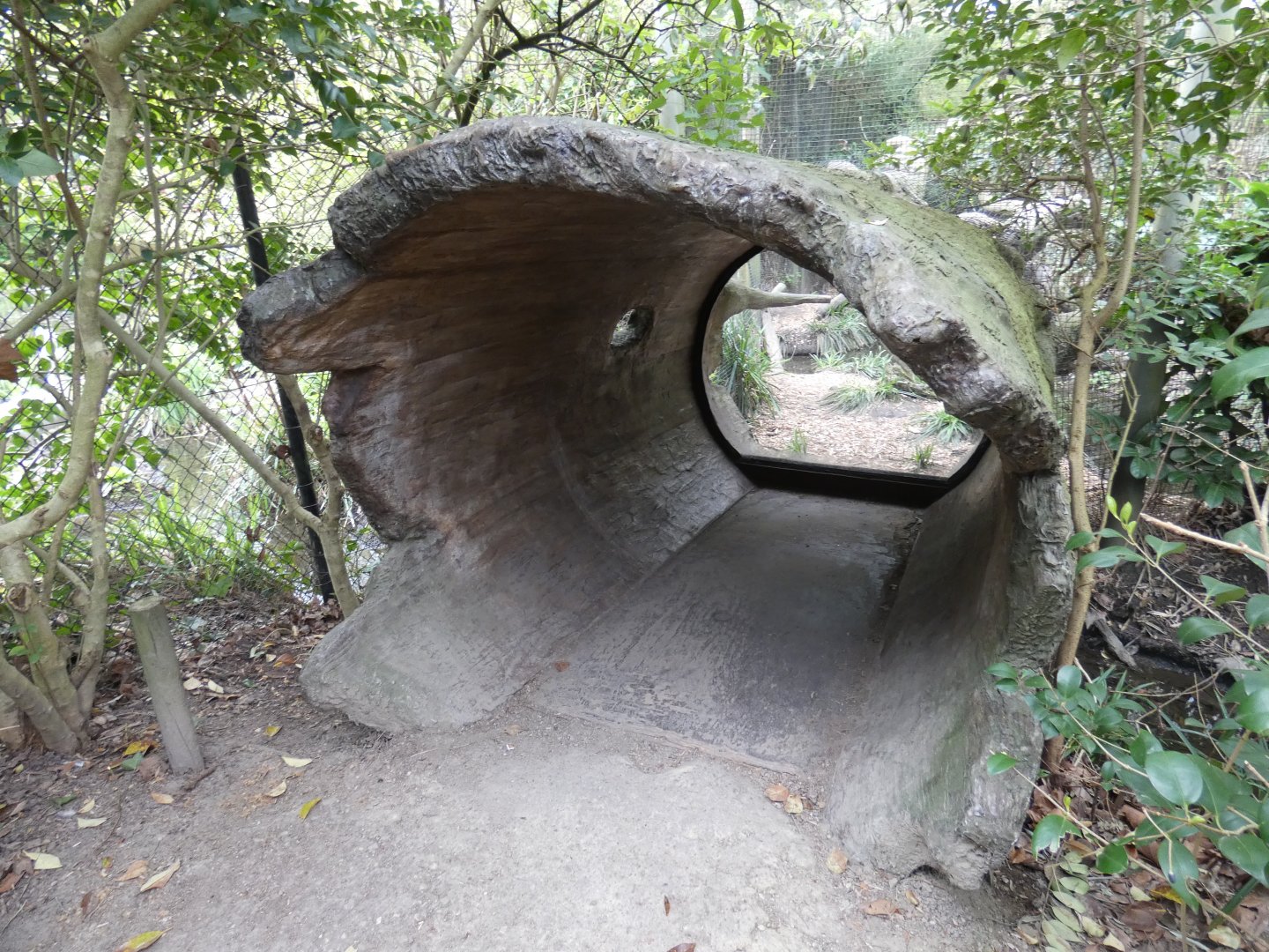 Log viewing into Fishing Cats
