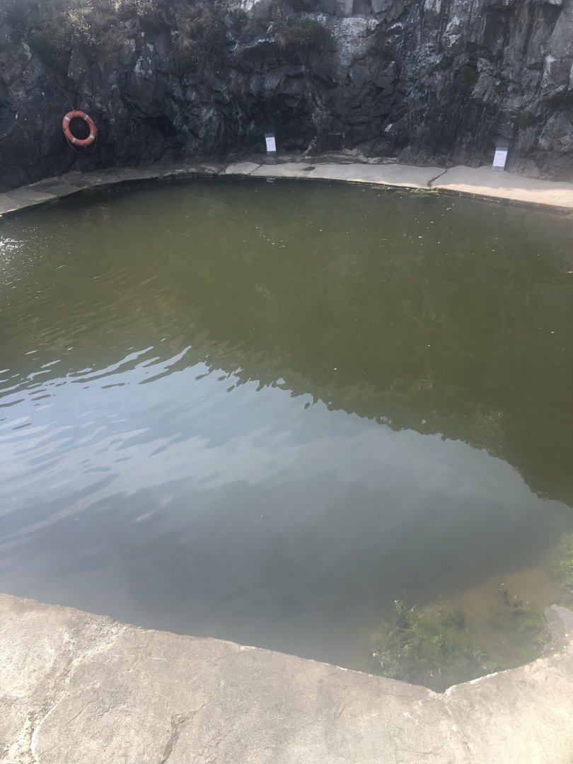 Logan fish pond - View of pond from above