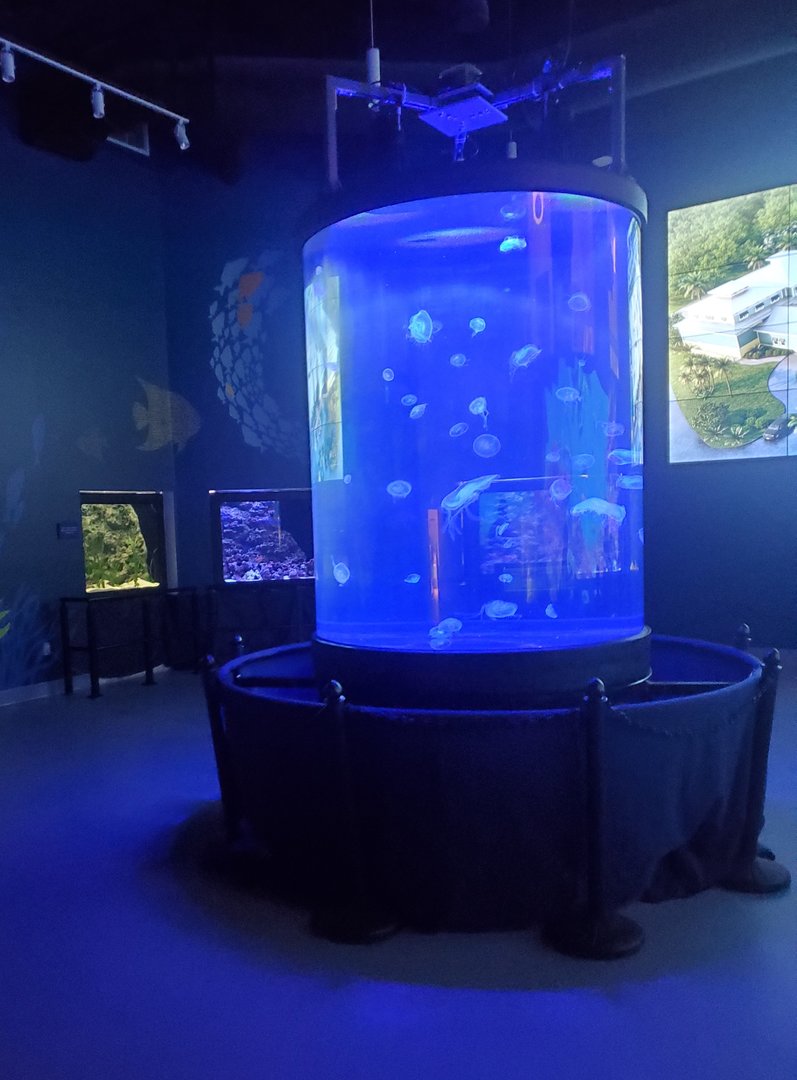 Loggerhead Center (2022) - Indoor exhibits