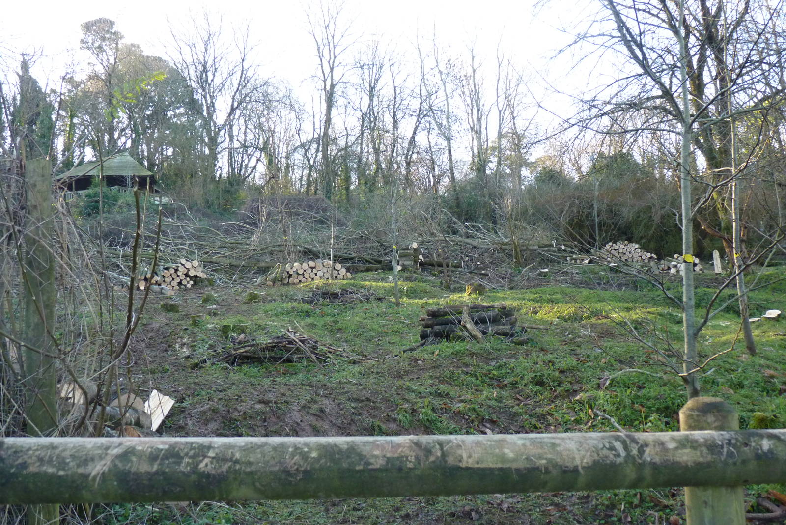 Logging, January 2016