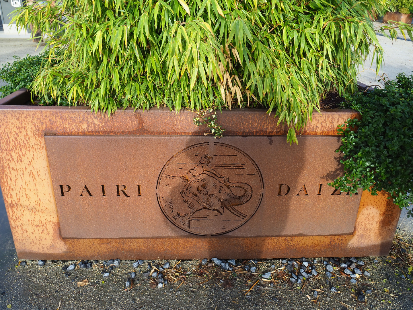 Logo carved in corthen steel on planter, 2019-10-04