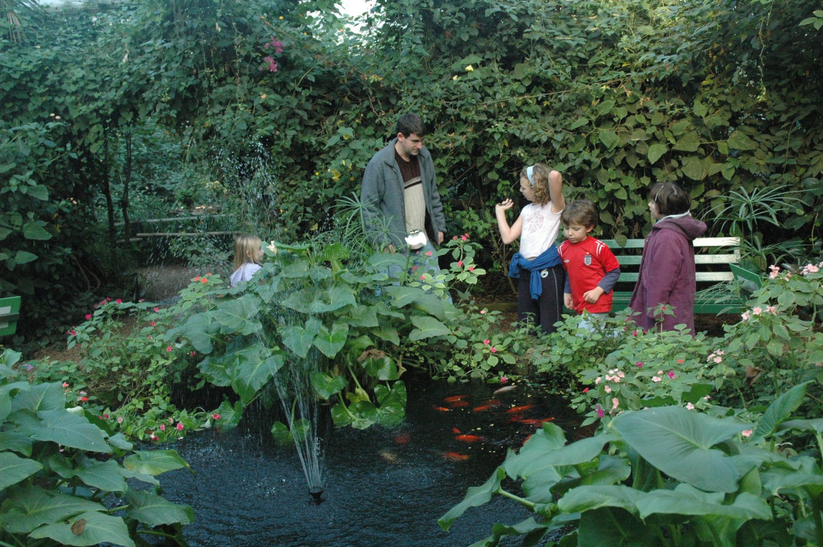 London Butterfly House 2005