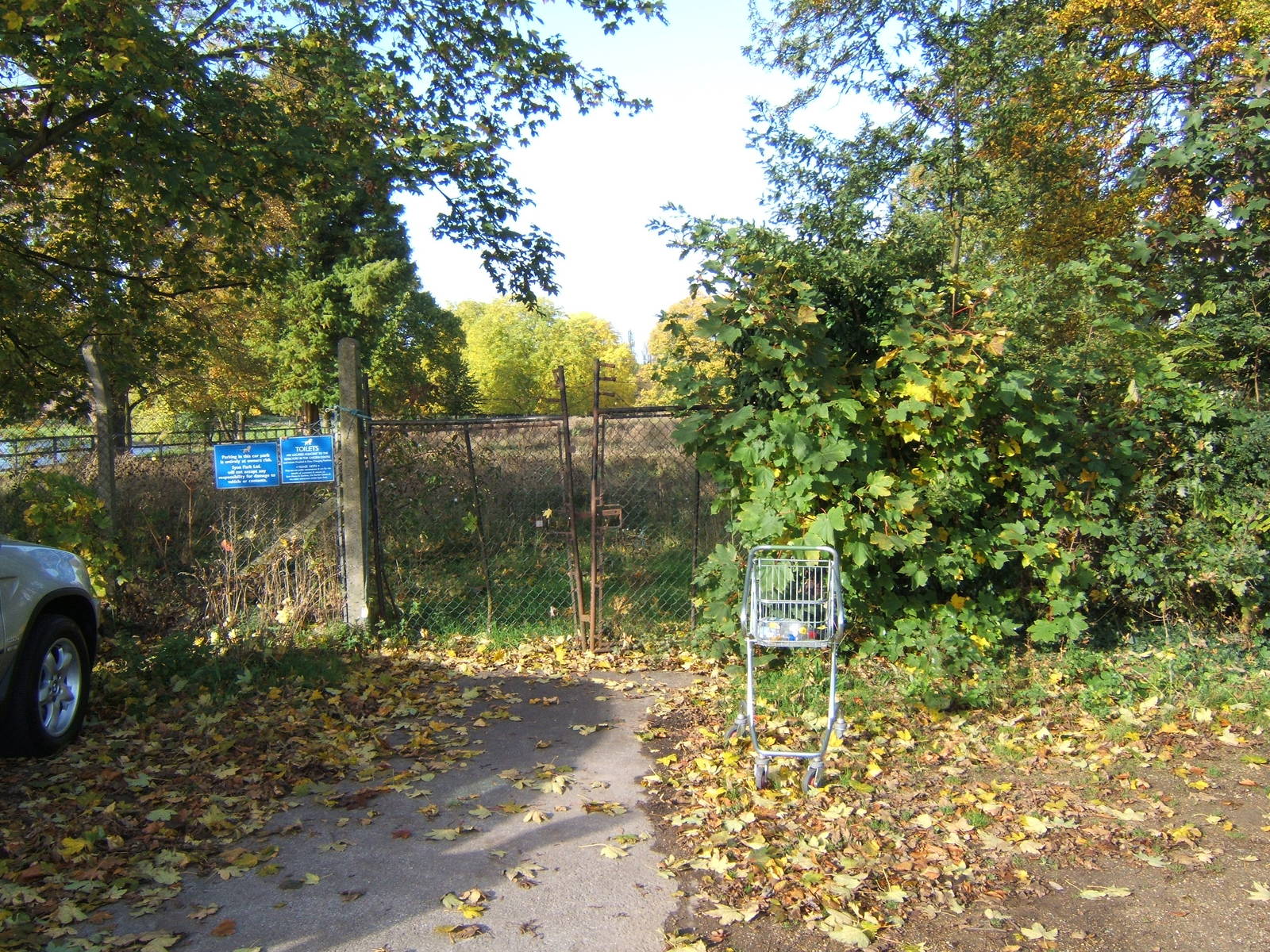 London Butterfly House