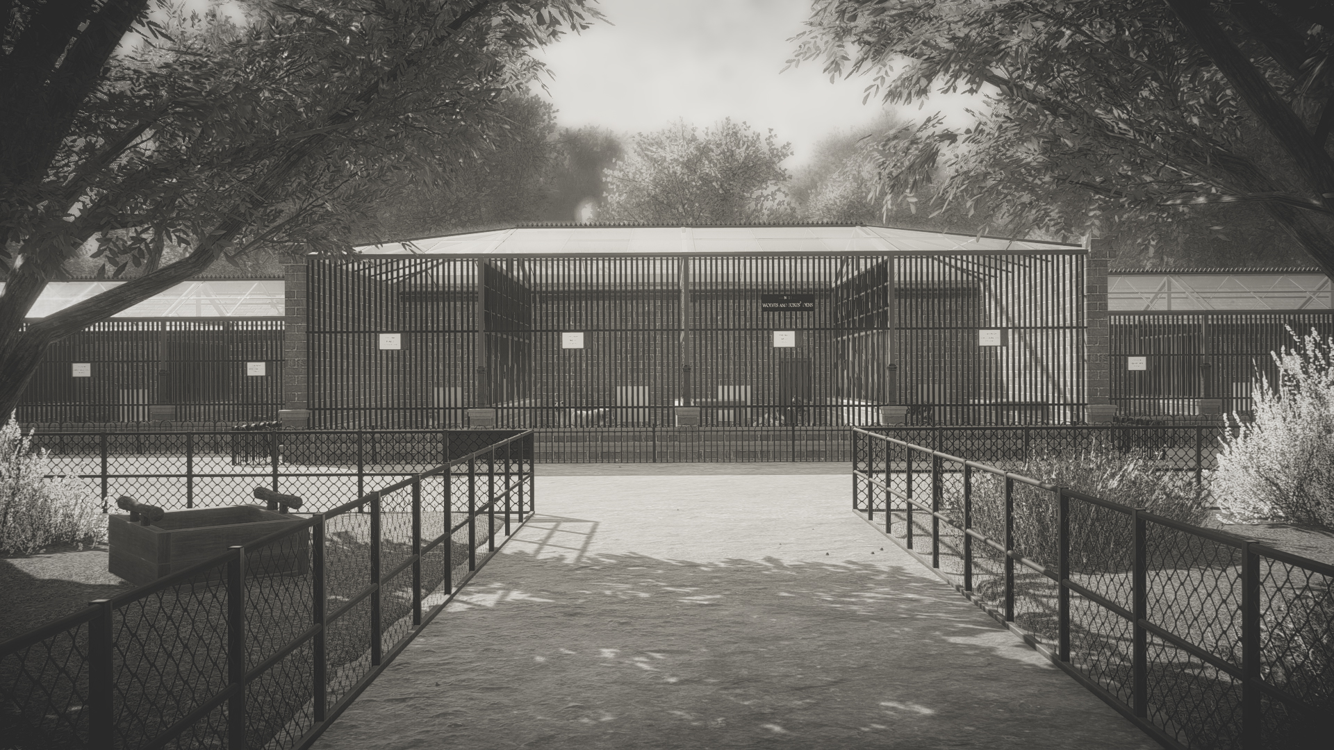 London Zoo 1904: The Wolves and Foxes' Dens