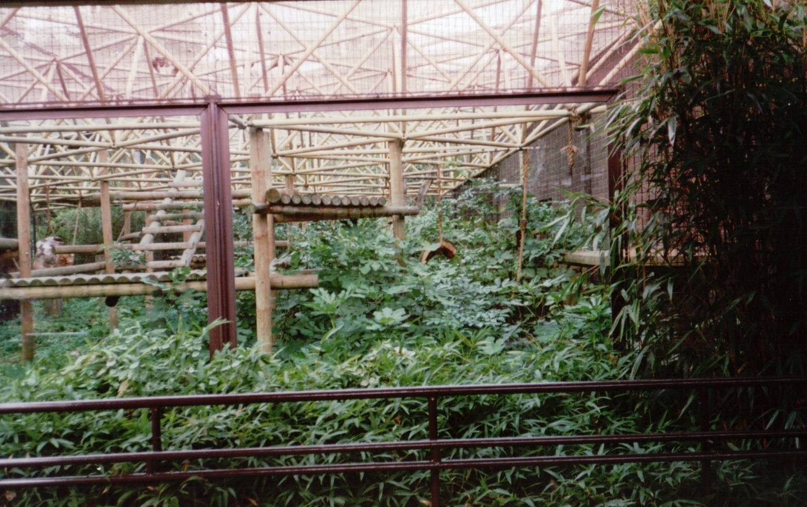 London Zoo 2001 - Part of the former Panda exhibit in the Sobell Pavilion