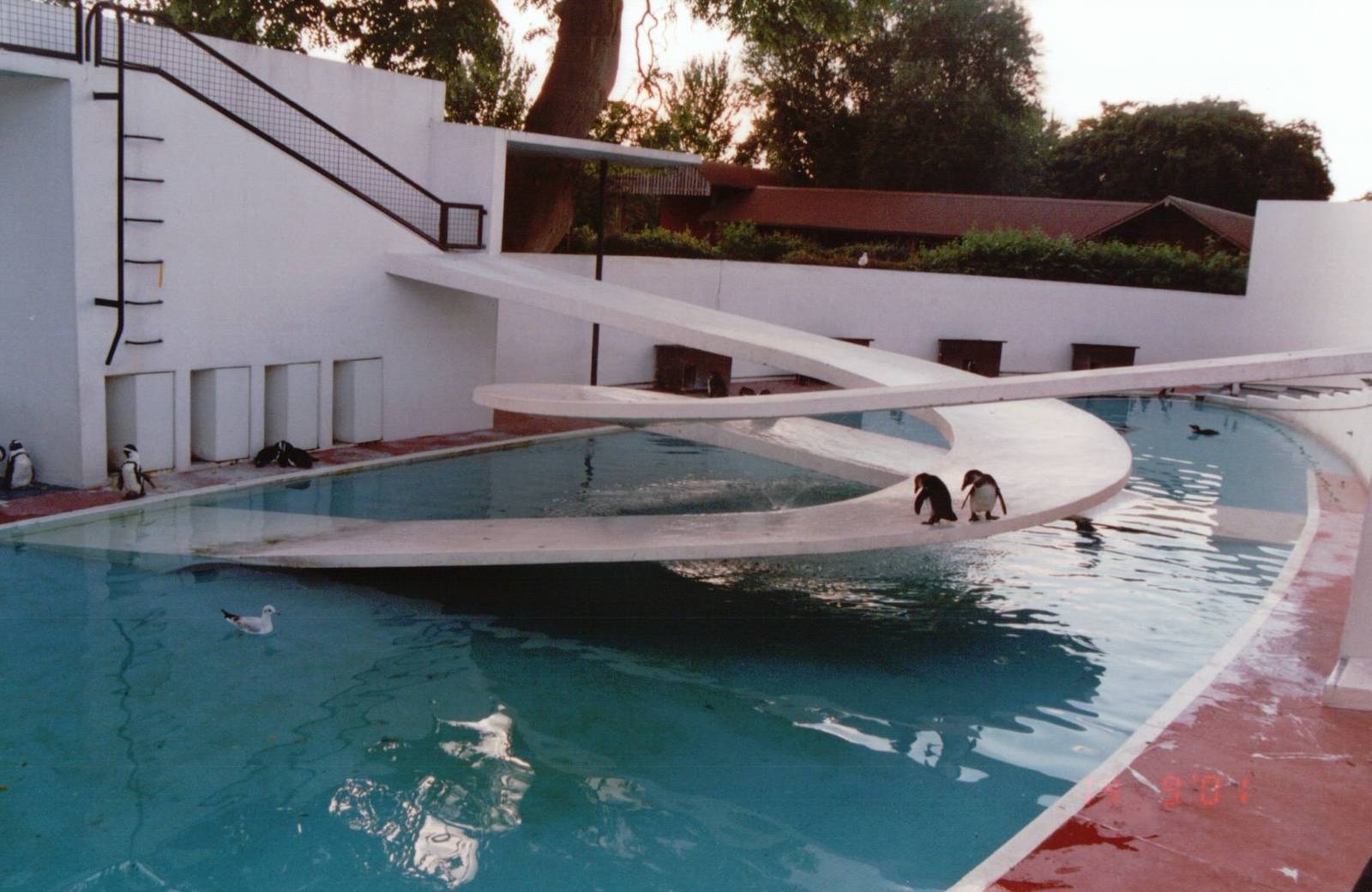 London Zoo 2001 - The Lubetkin penguin exhibit
