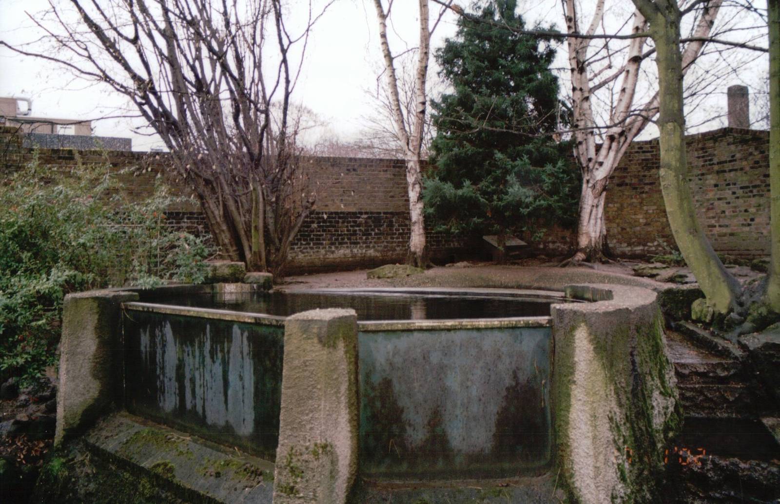 London Zoo 2002 - Asiatic Small-clawed Otter exhibit