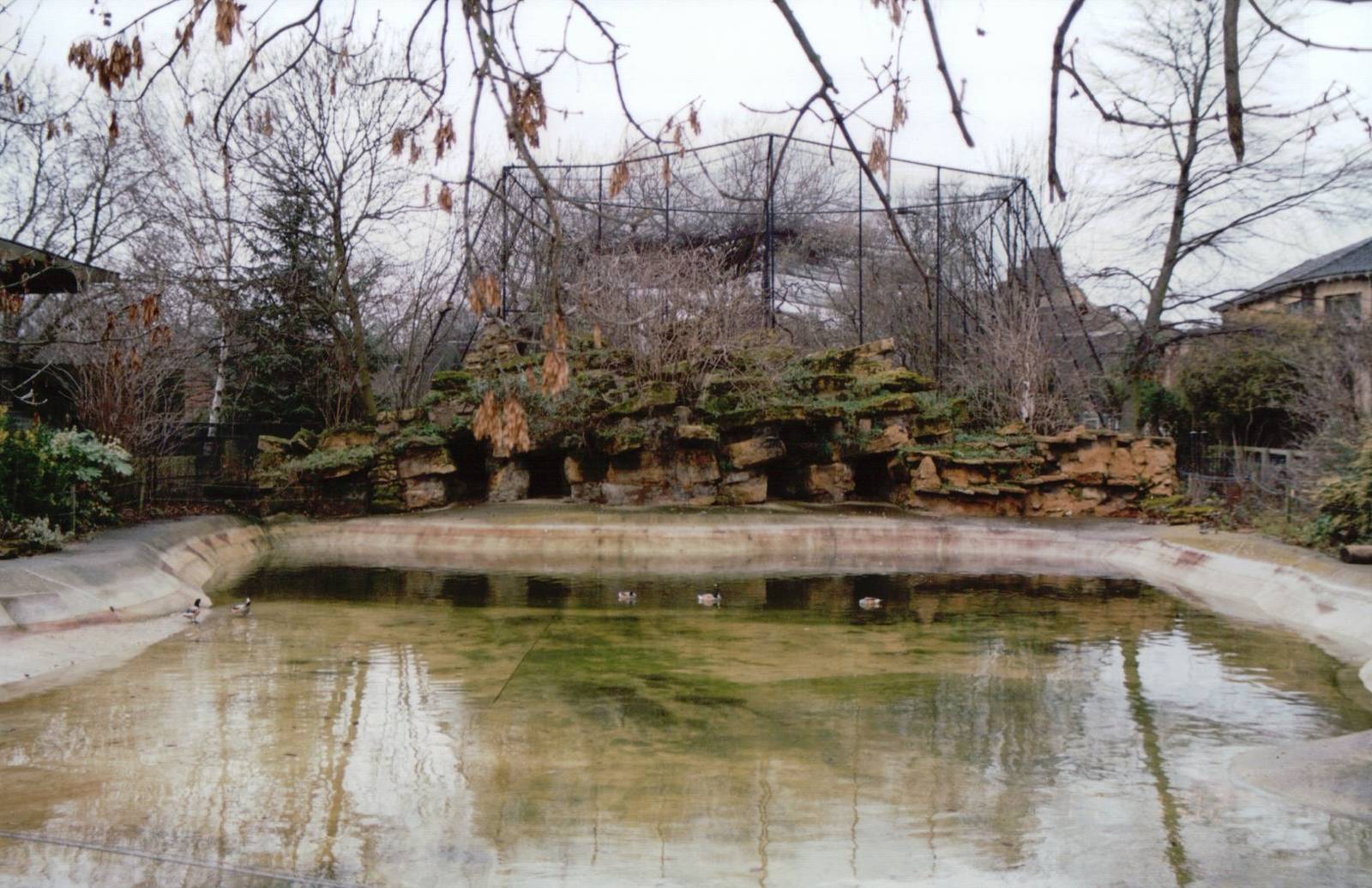 London Zoo 2002 - Former Sea Lion Pond and then Pigmy Hippo exhibit