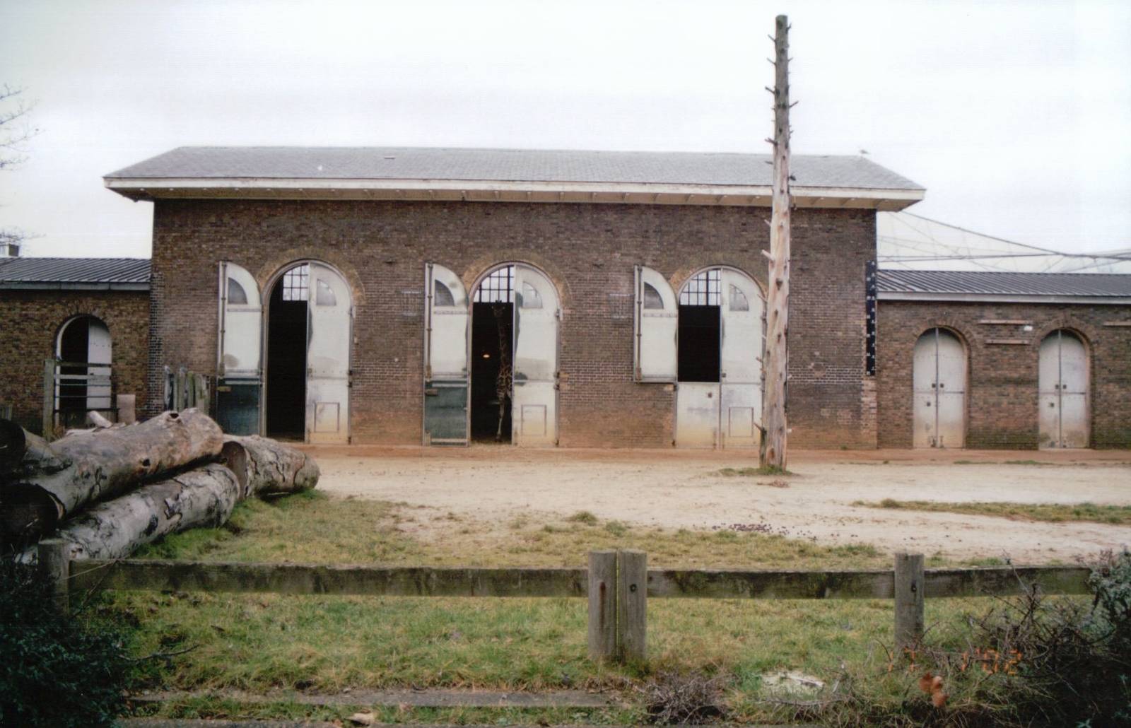 London Zoo 2002 - Giraffe exhibit at the Burton Giraffe House