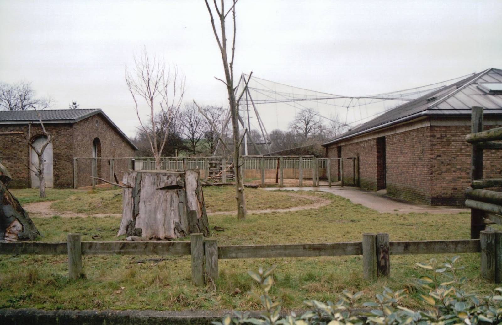 London Zoo 2002 - Part of the Burton Giraffe House and the Tapir House