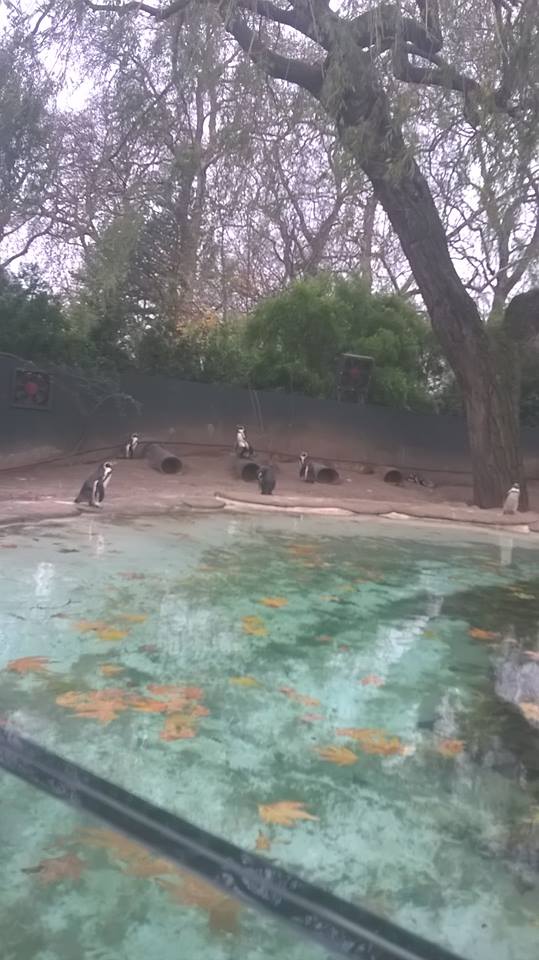 London Zoo- 2015