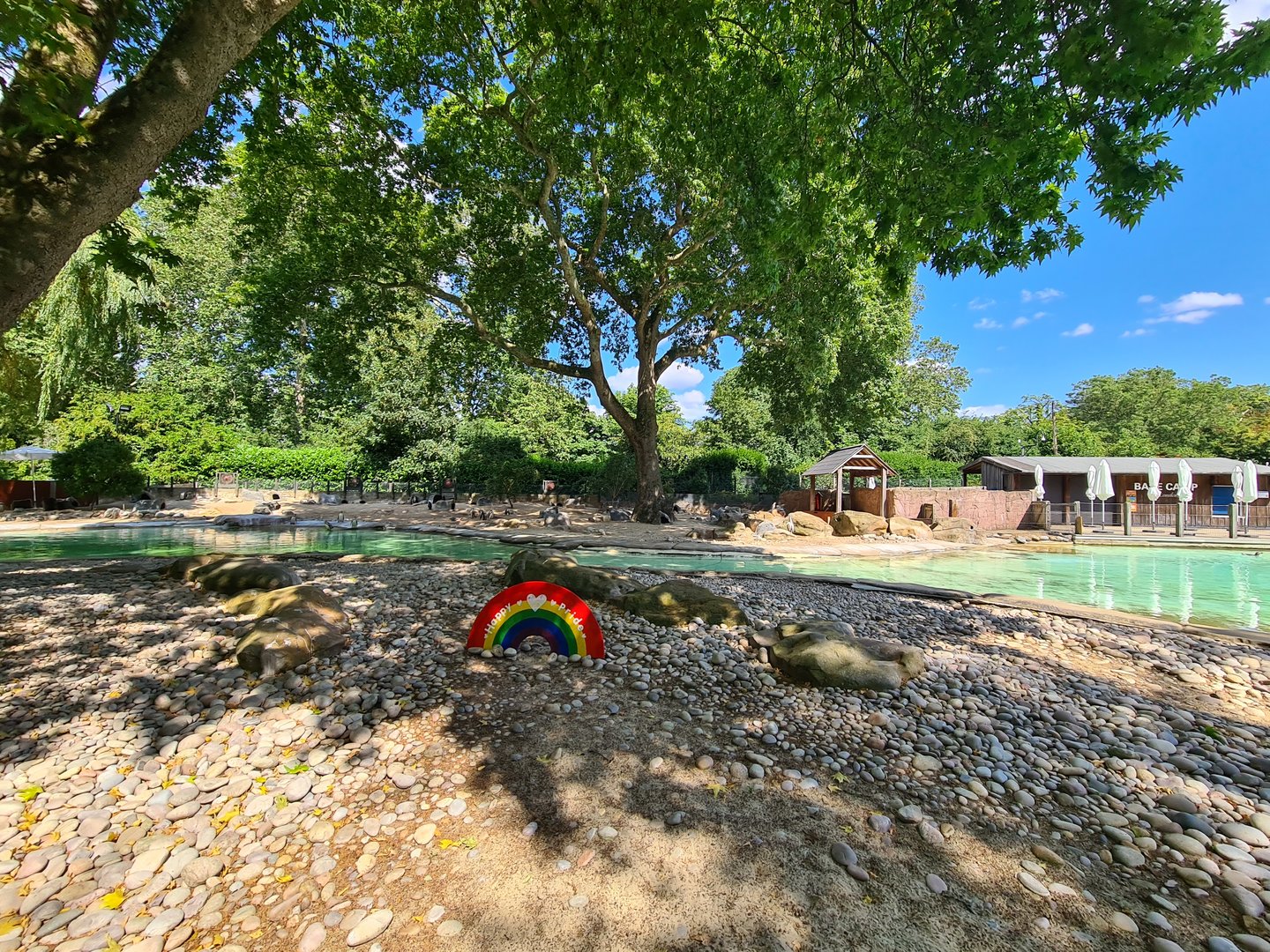 London Zoo - African Penguin exhibit