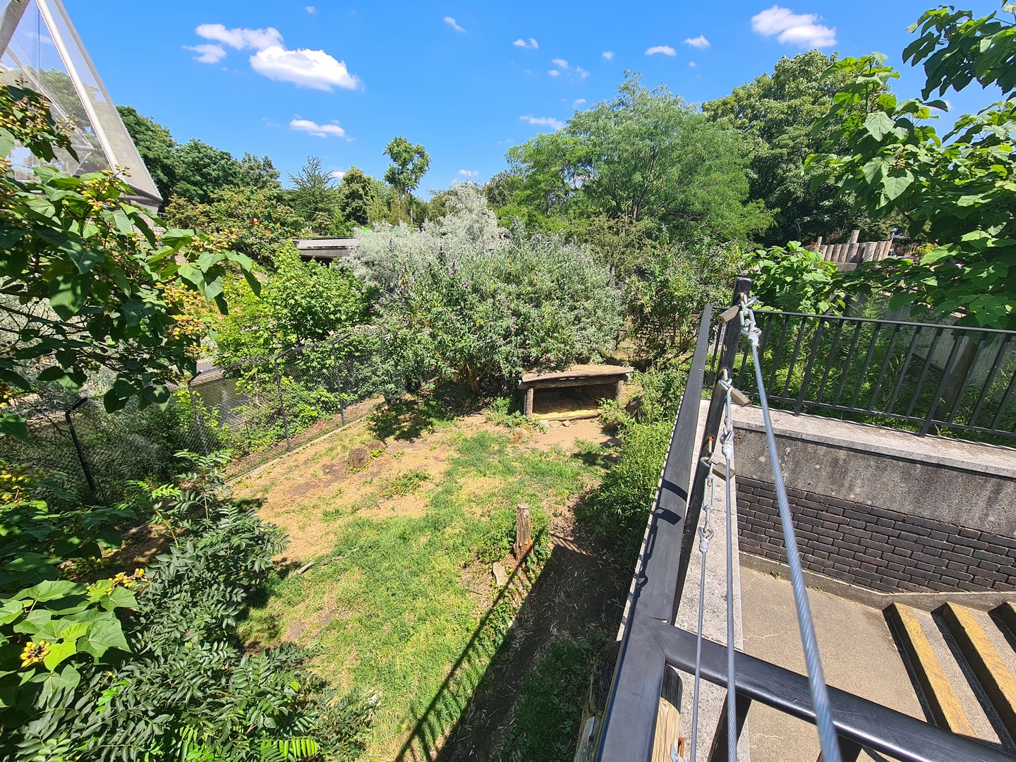 London Zoo - African Wild Dog exhibit