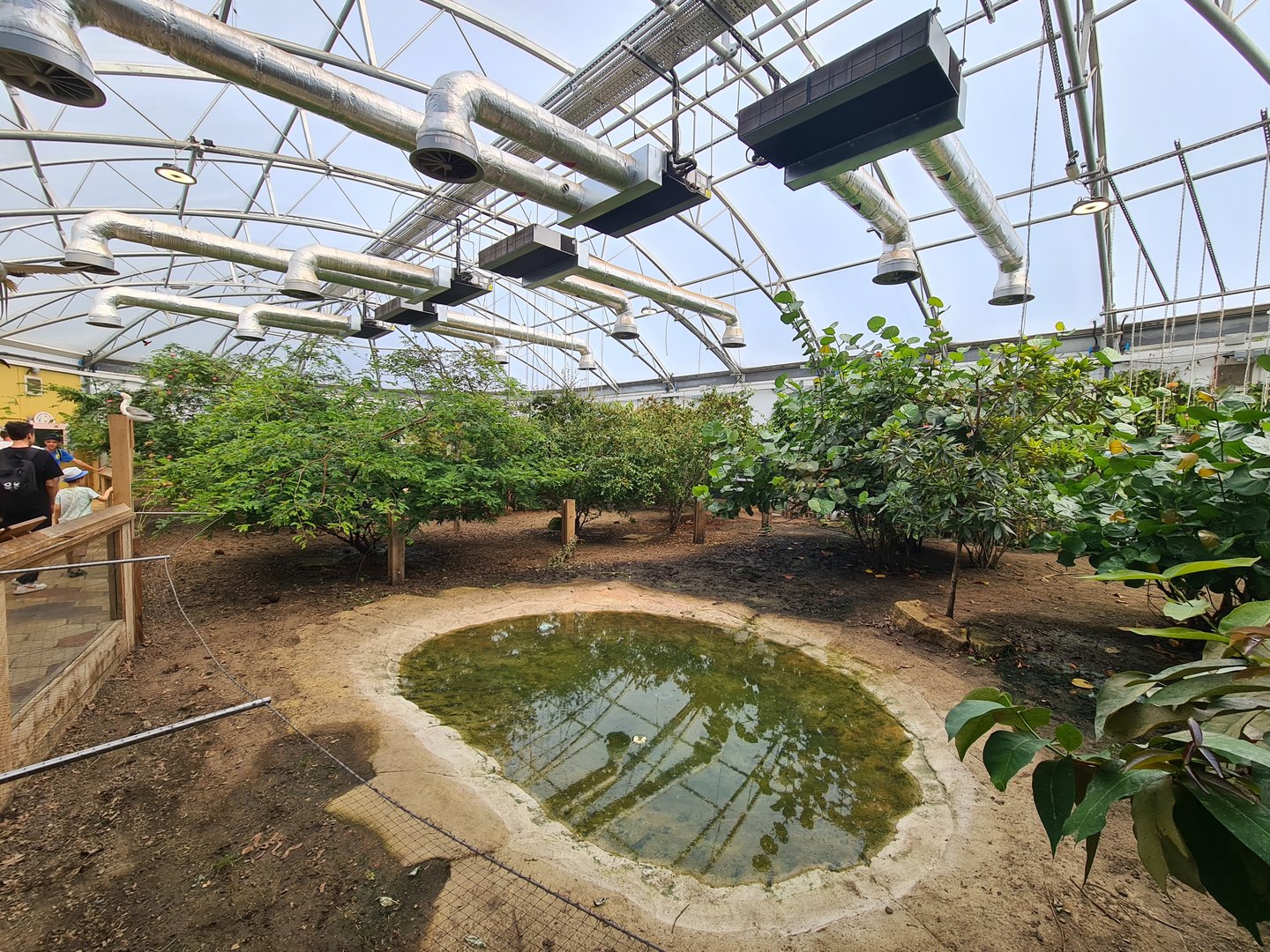 London Zoo - Galapagos Giant Tortoise exhibit