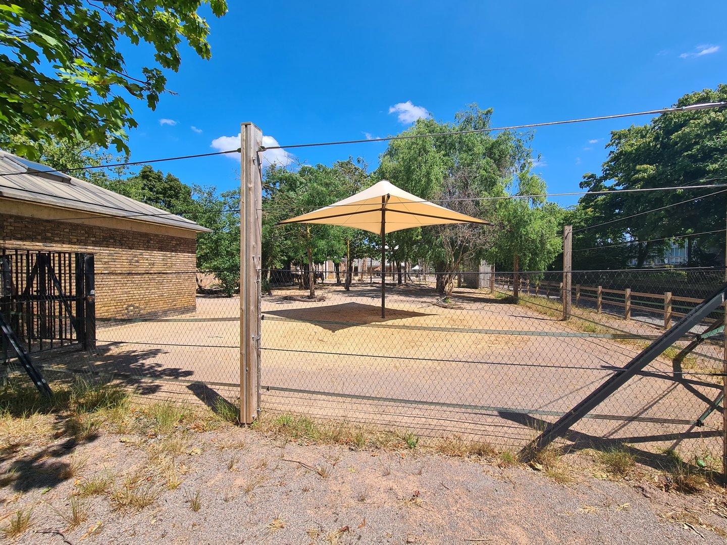 London Zoo - Giraffe exhibit