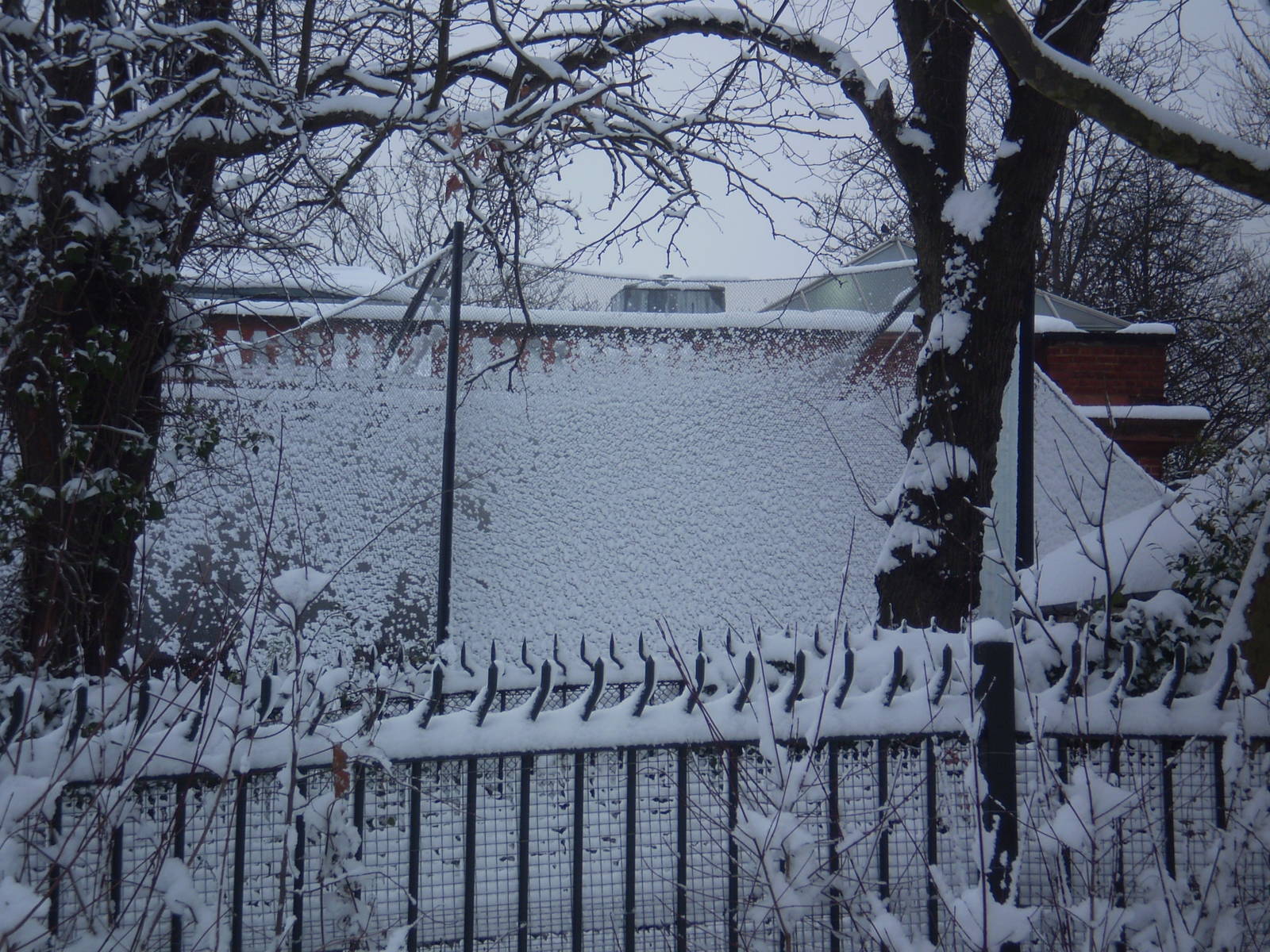 London Zoo in the snow