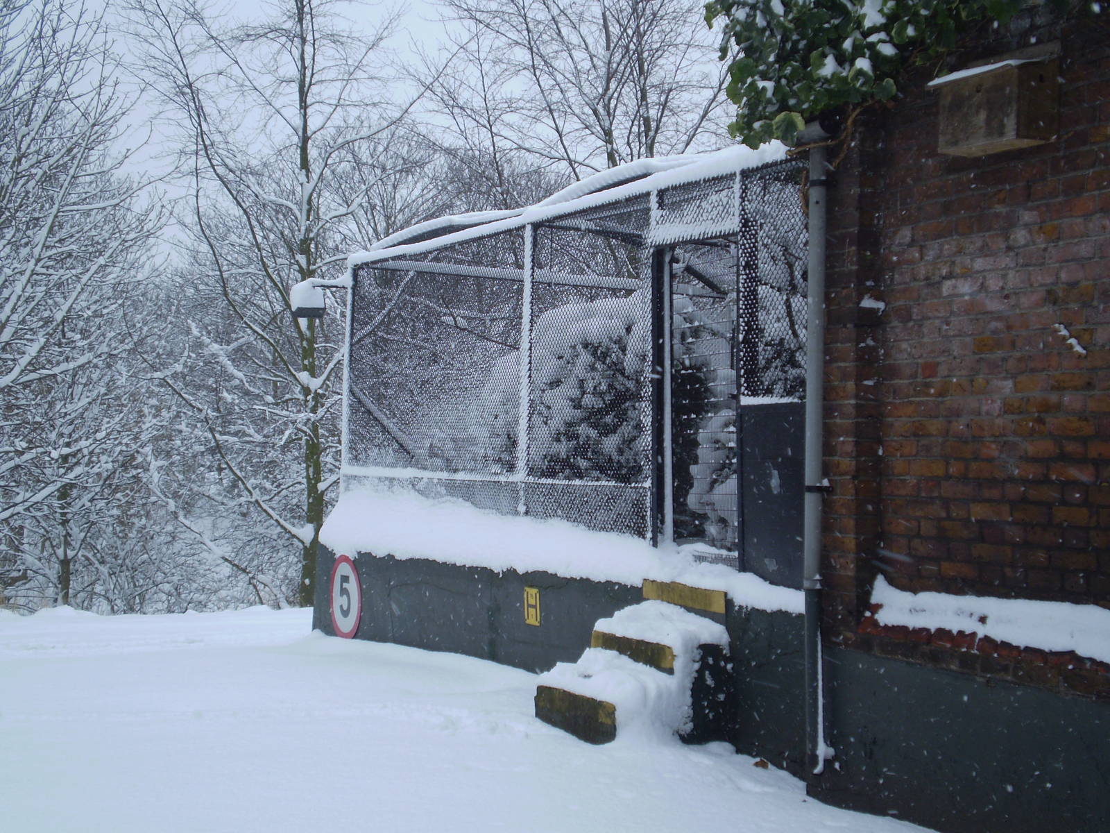 London Zoo in the snow