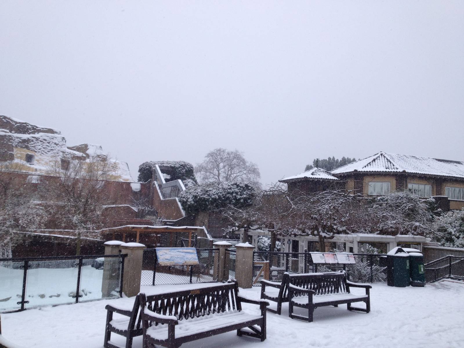 London Zoo January 2013