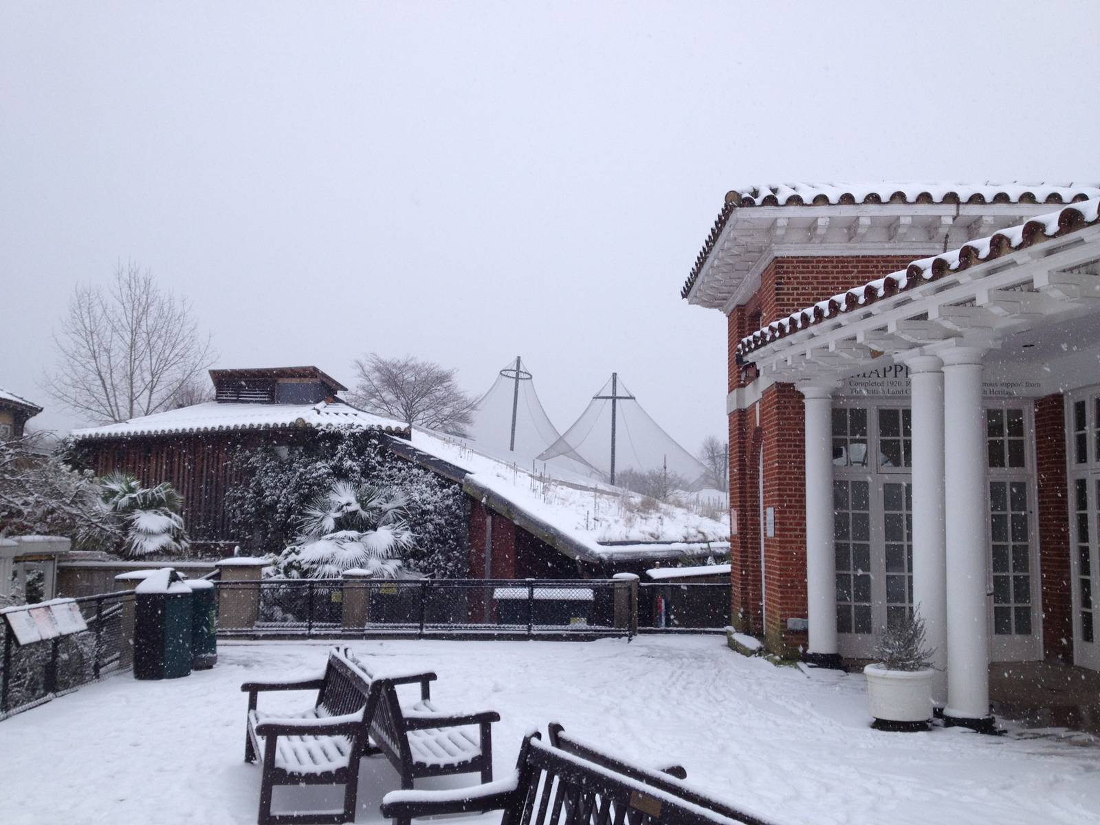 London Zoo January 2013