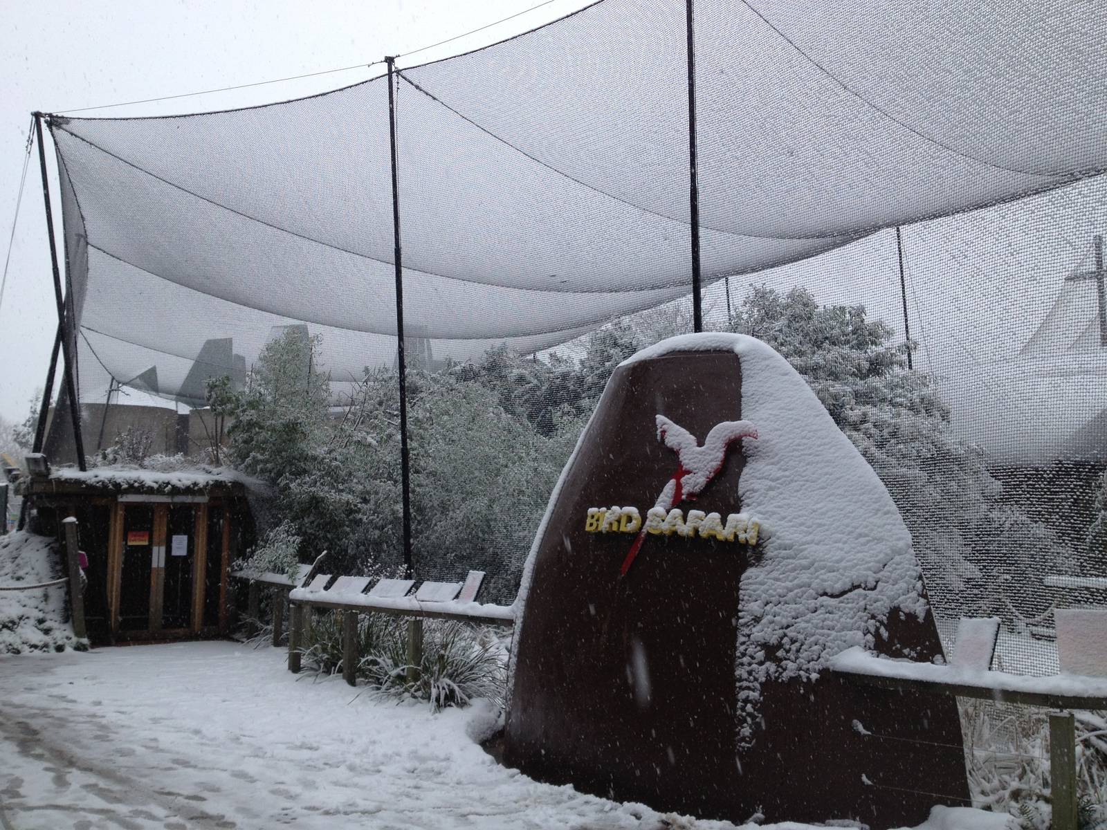 London Zoo January 2013