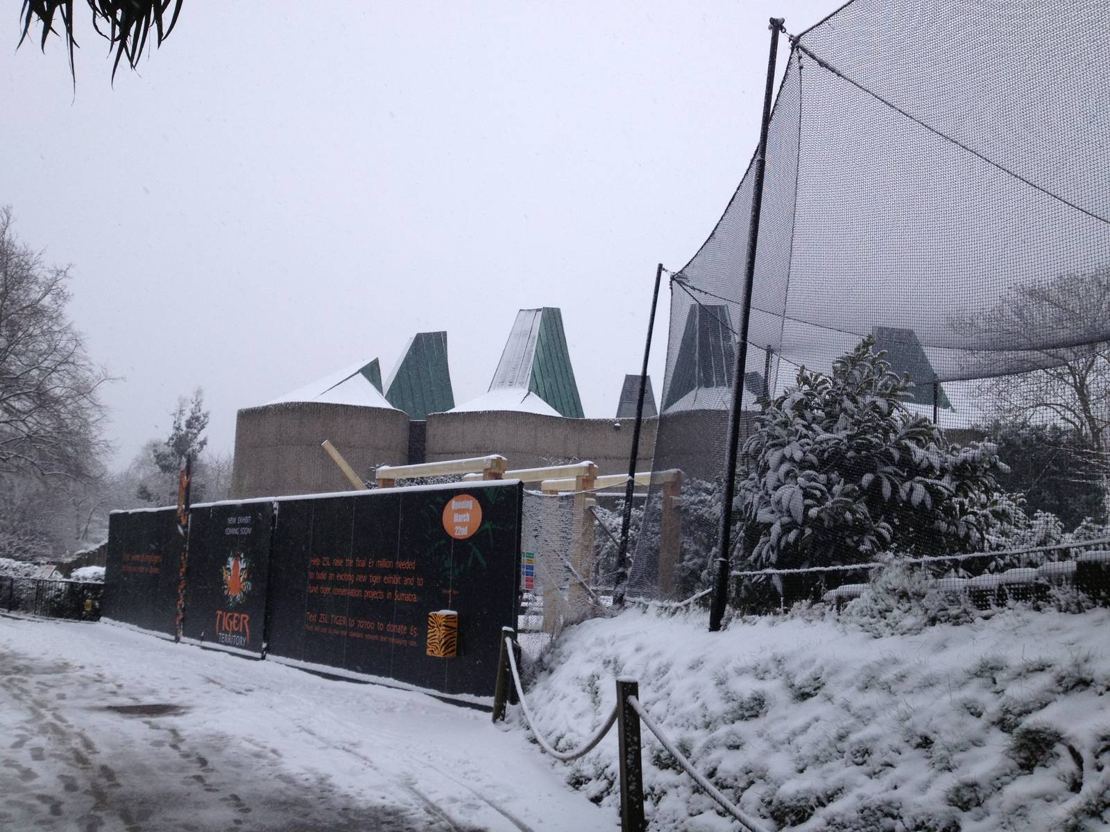 London Zoo January 2013