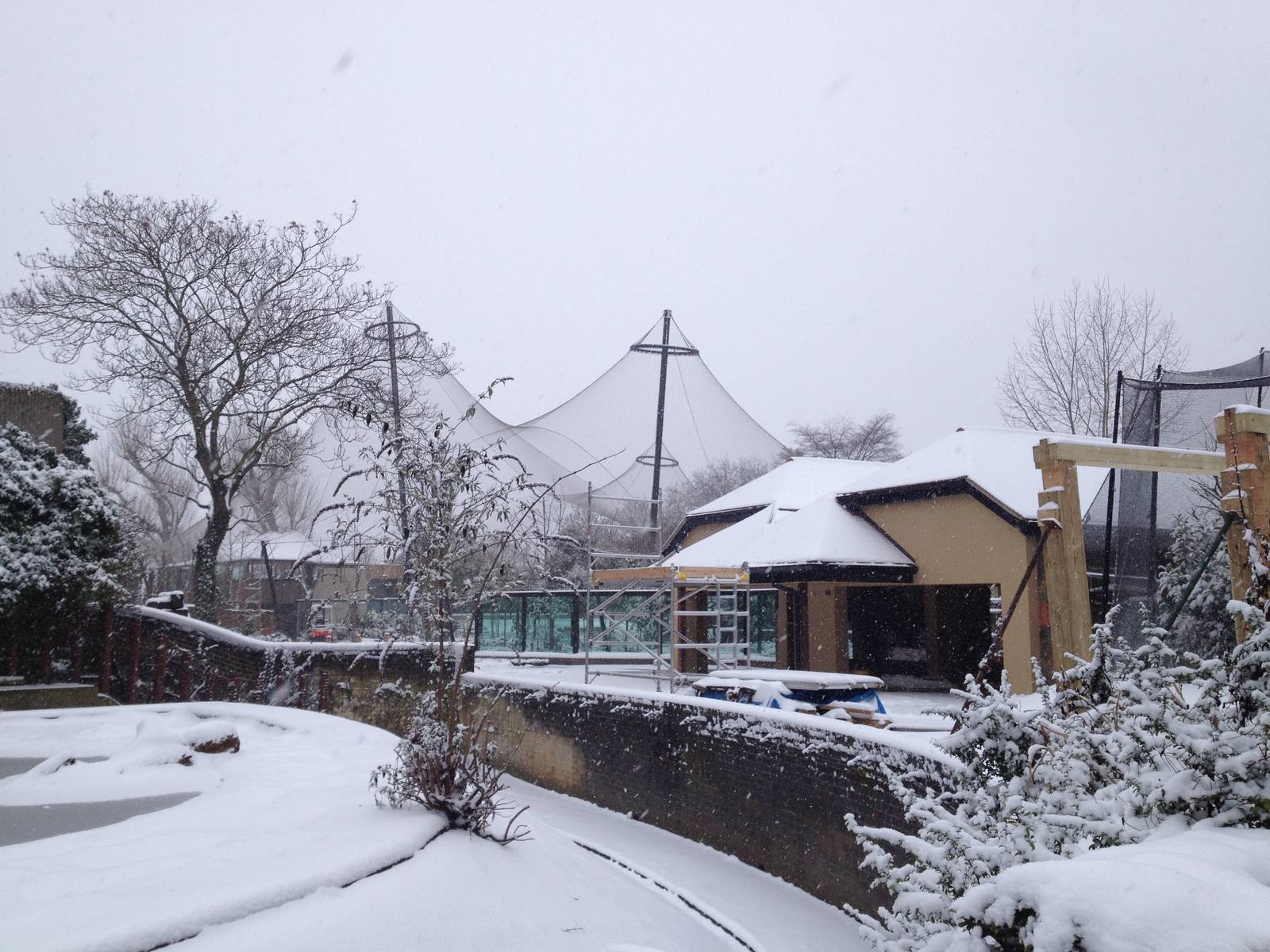 London Zoo January 2013