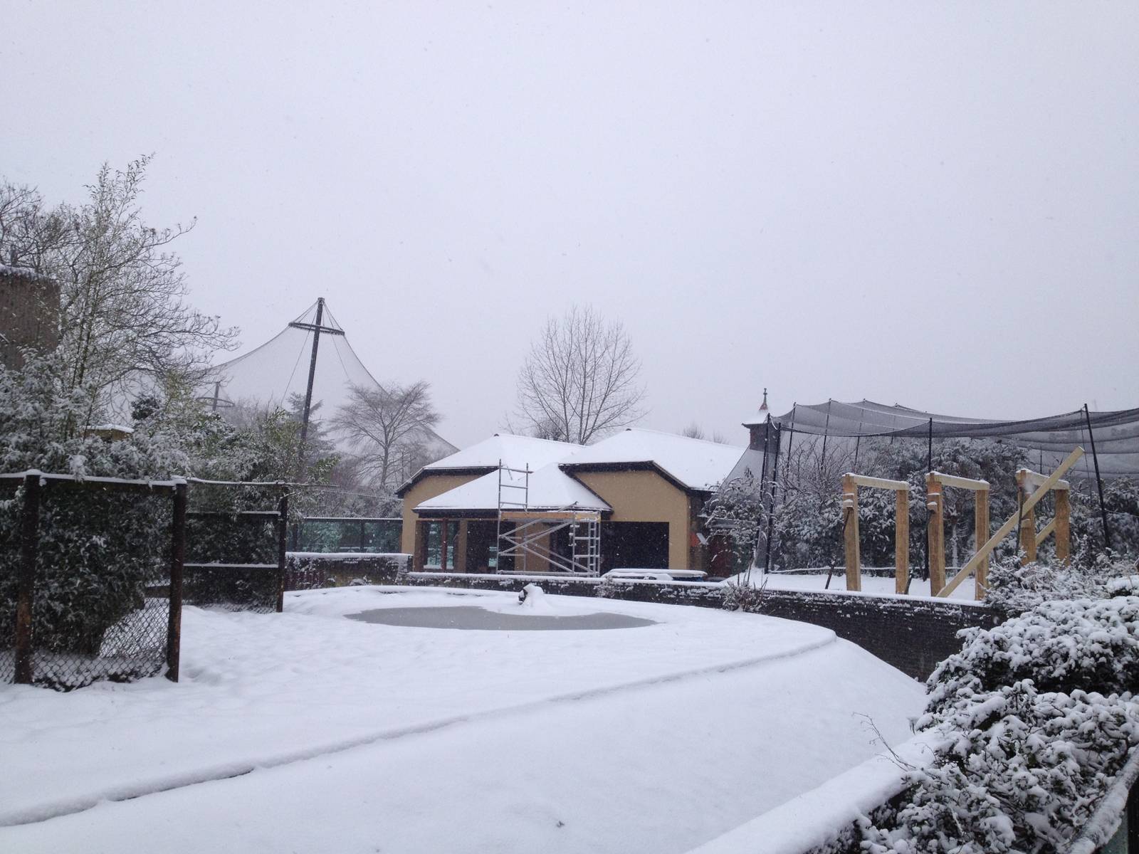 London Zoo January 2013