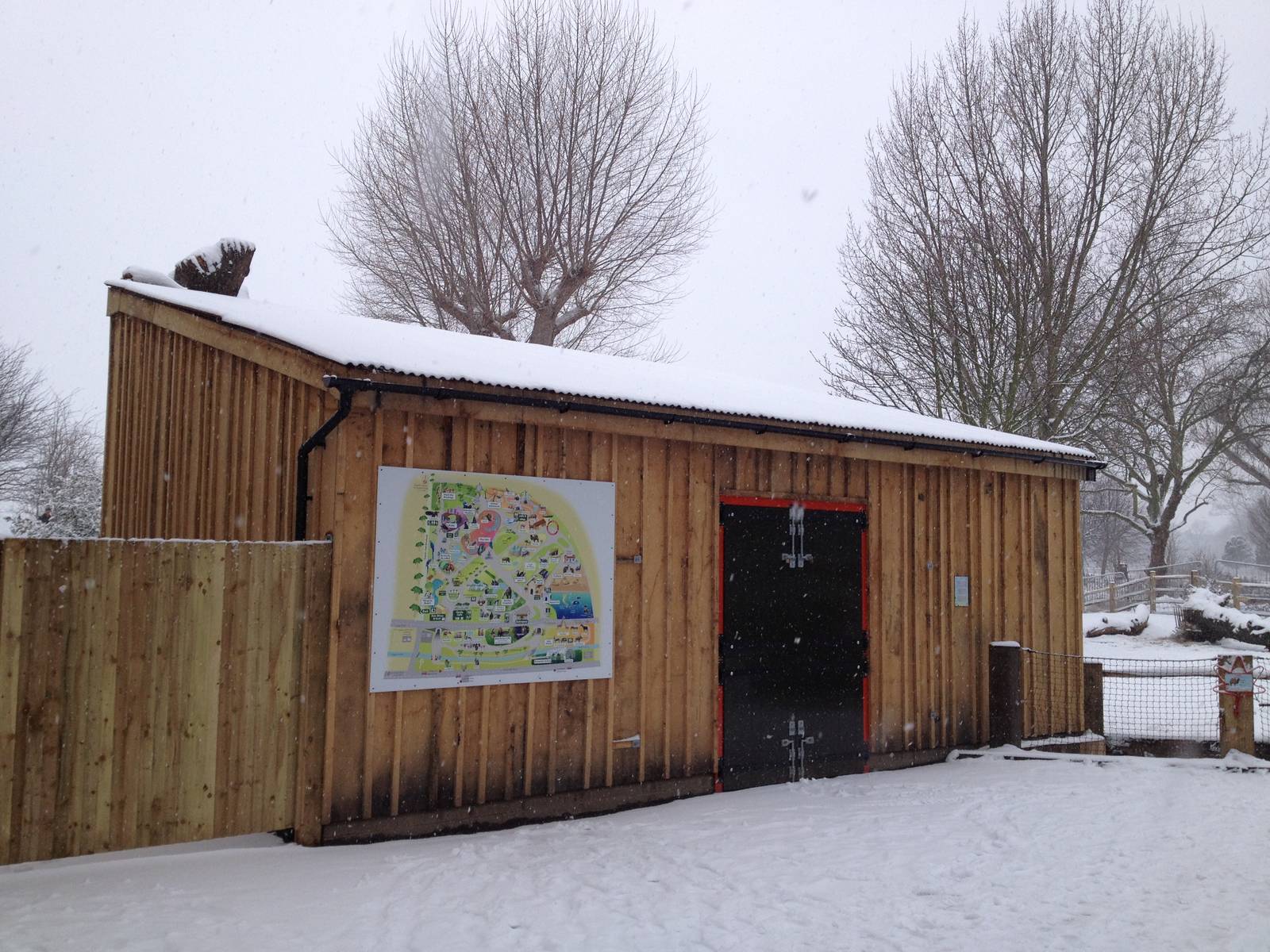 London Zoo January 2013