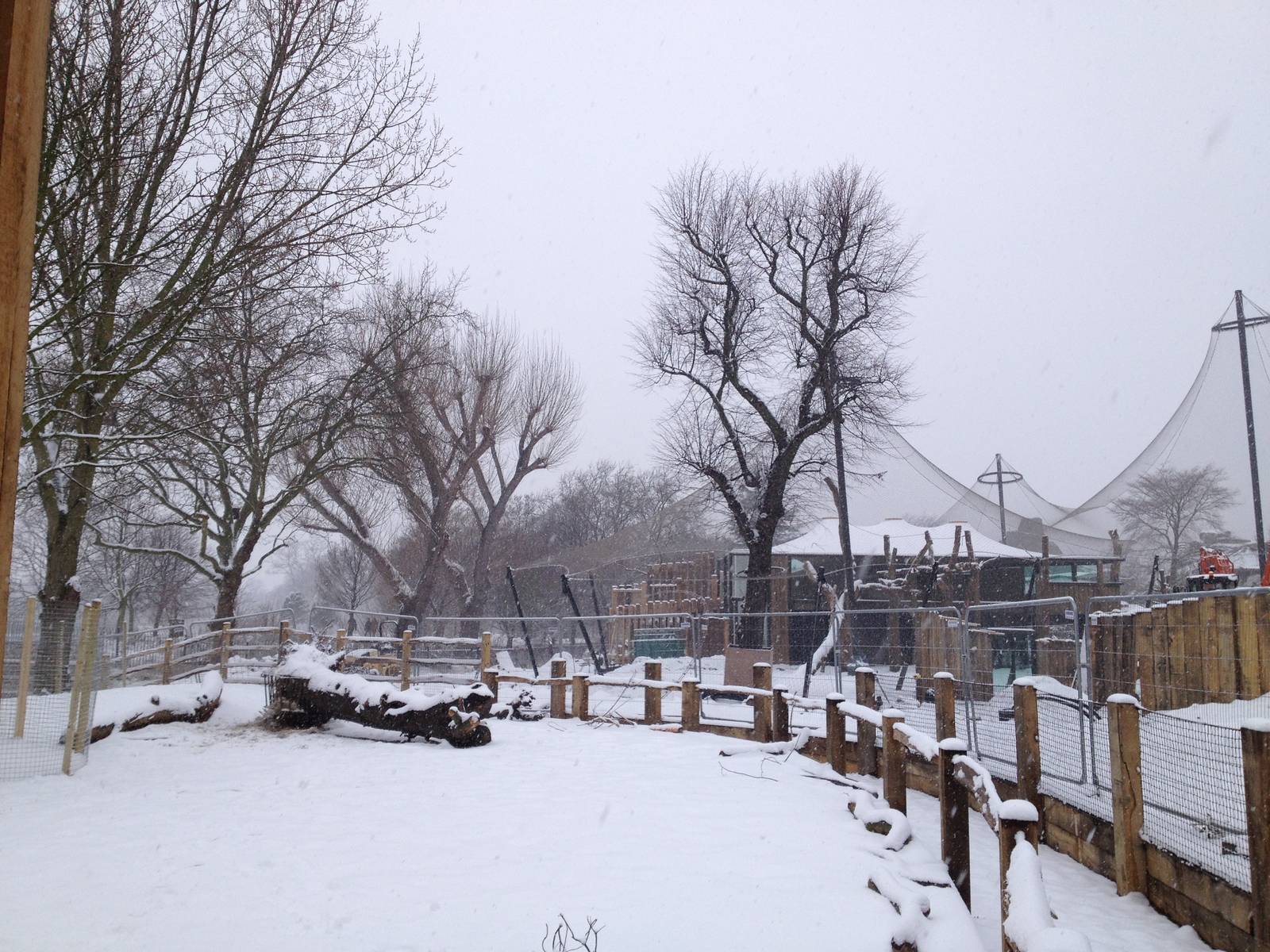 London Zoo January 2013