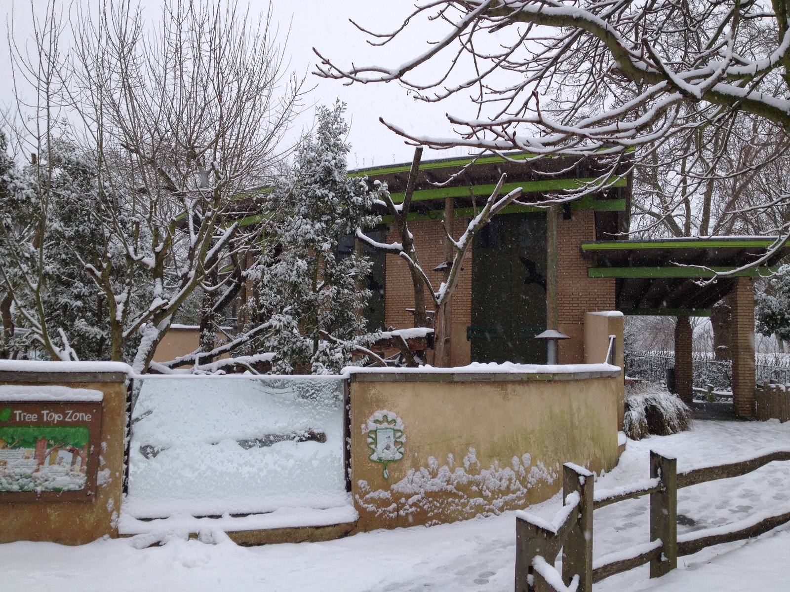 London Zoo January 2013