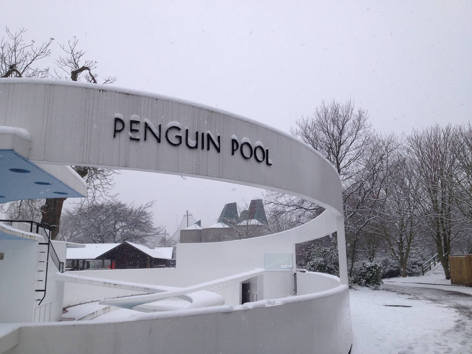 London Zoo January 2013