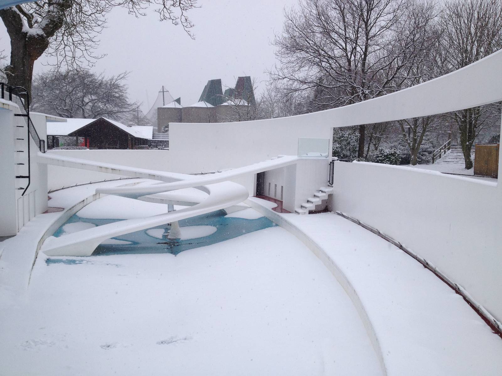 London Zoo January 2013