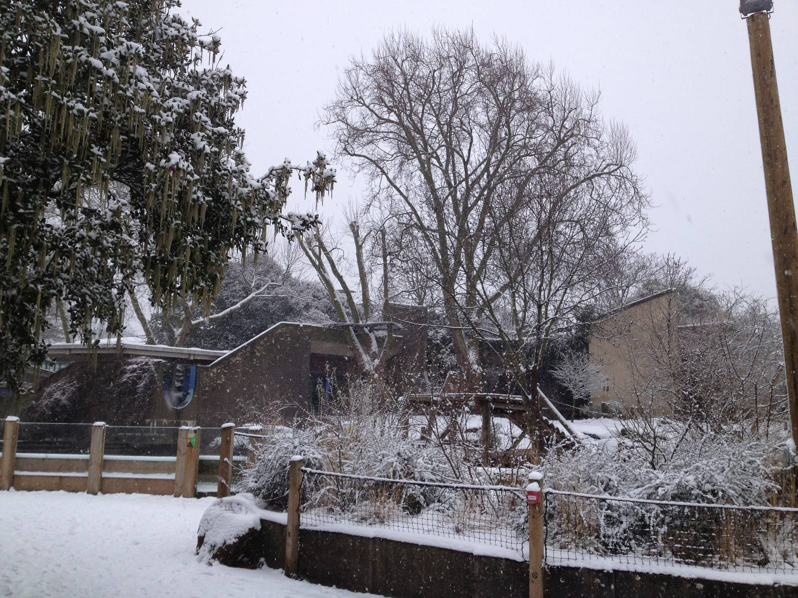 London Zoo January 2013