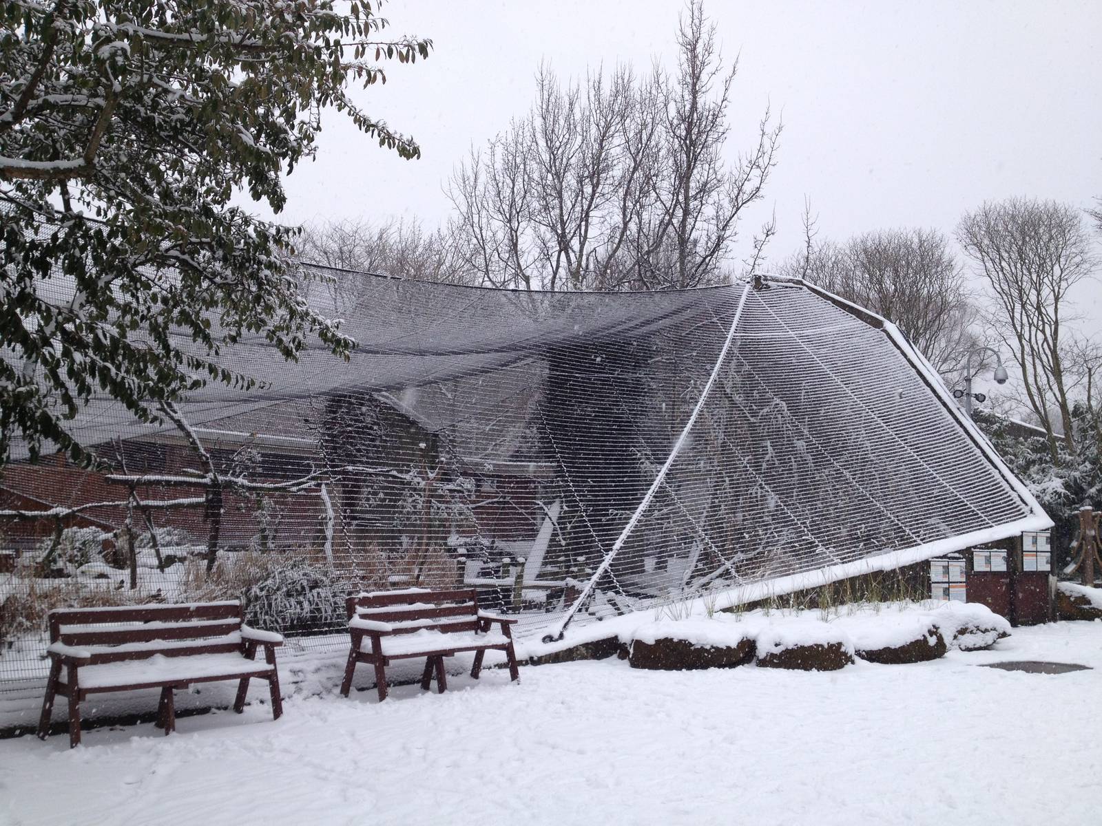 London Zoo January 2013