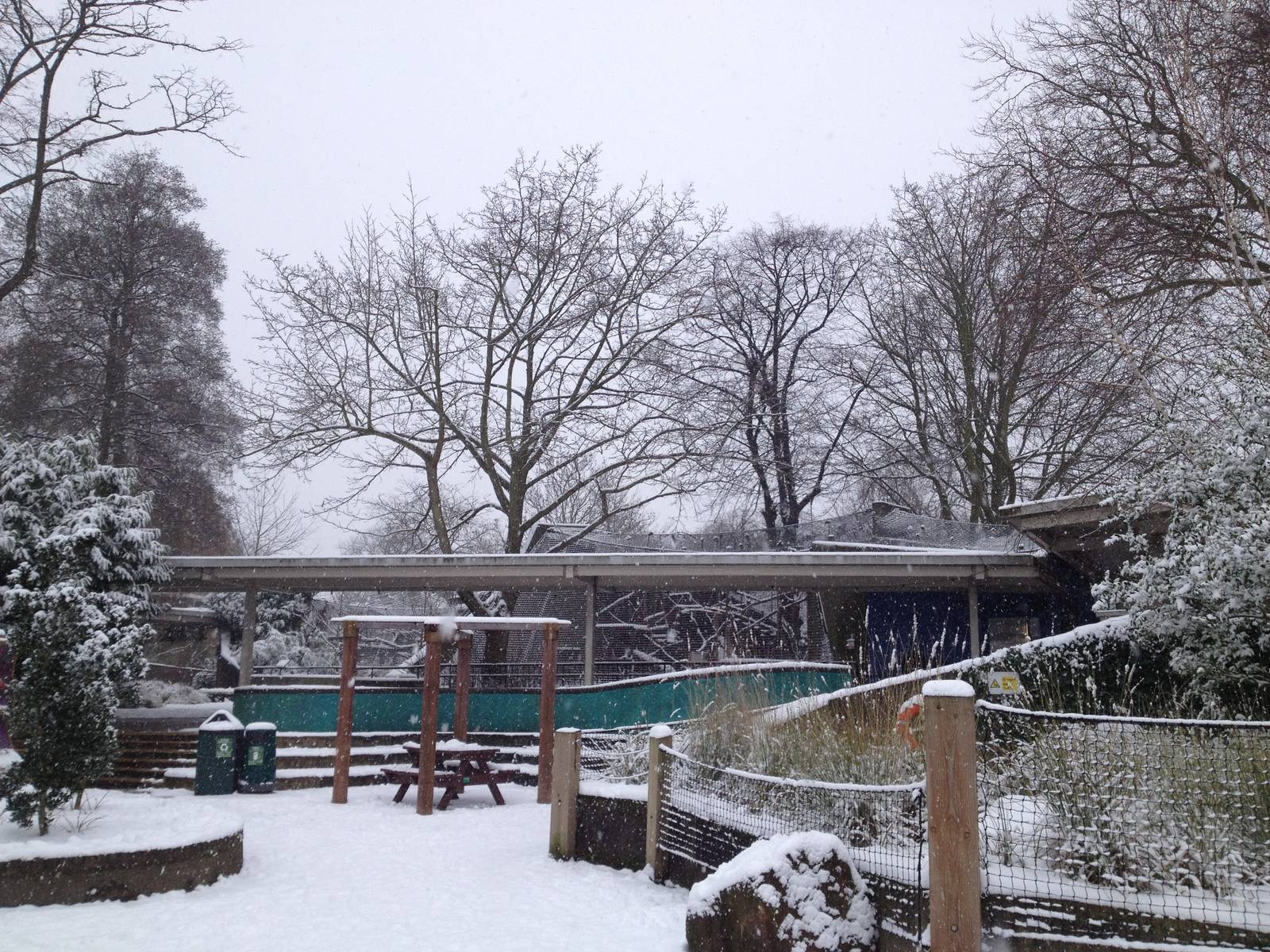 London Zoo January 2013