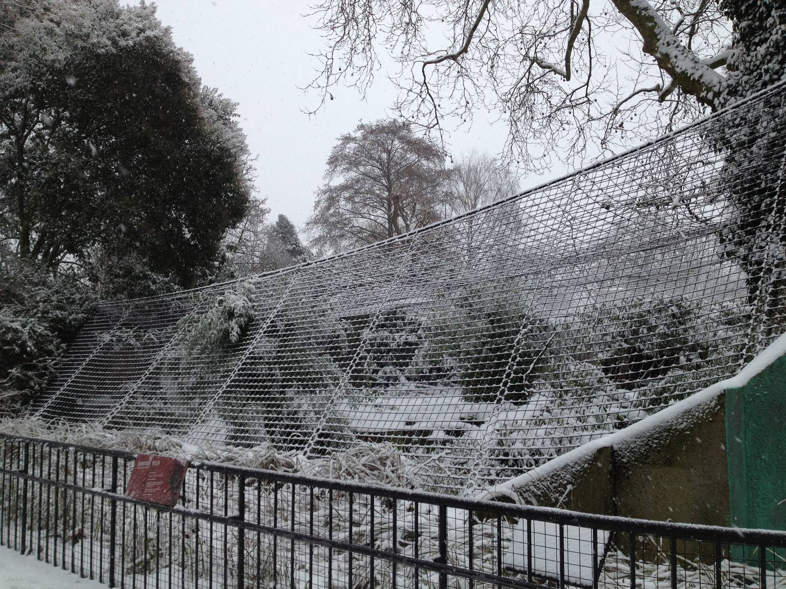 London Zoo January 2013