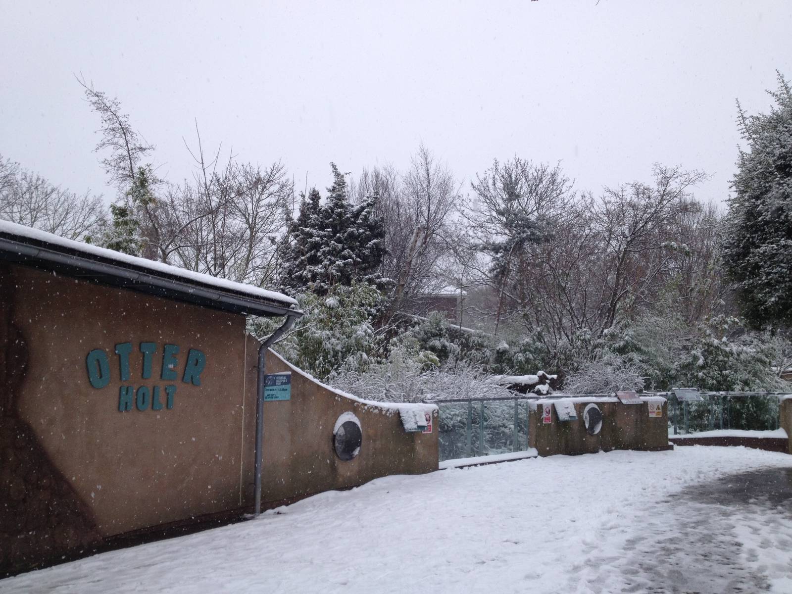 London Zoo January 2013