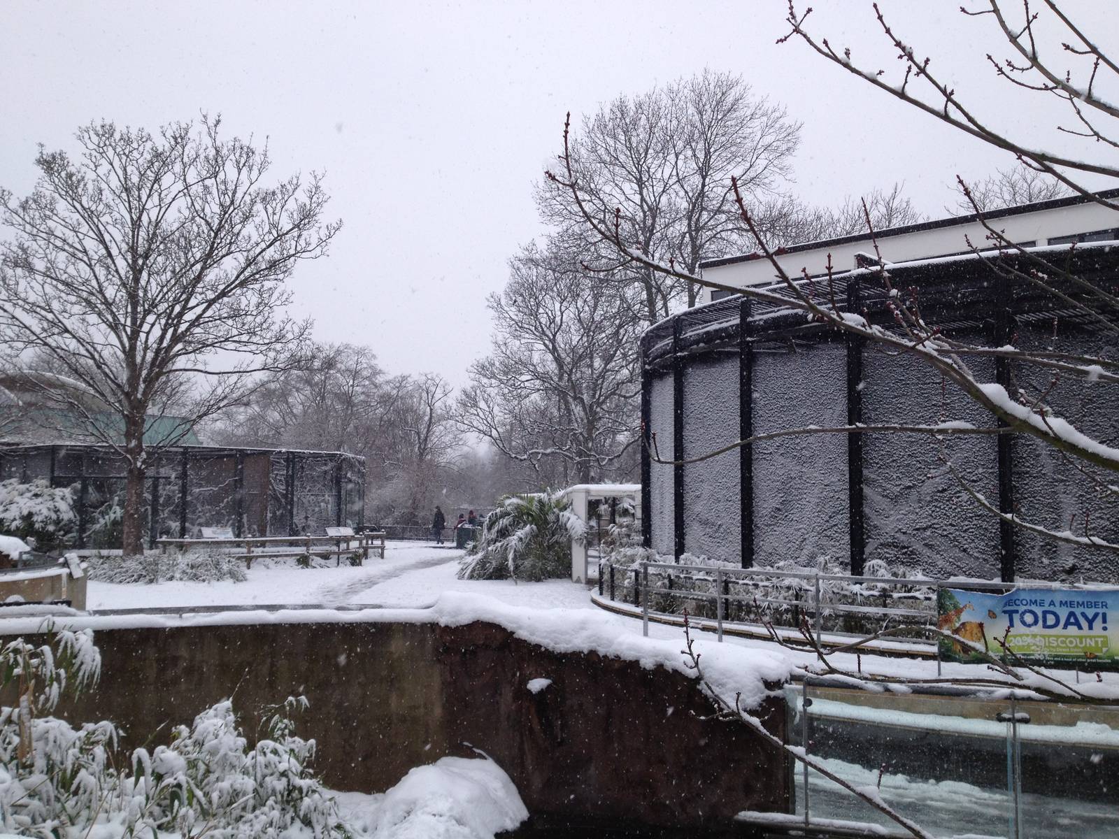 London Zoo January 2013