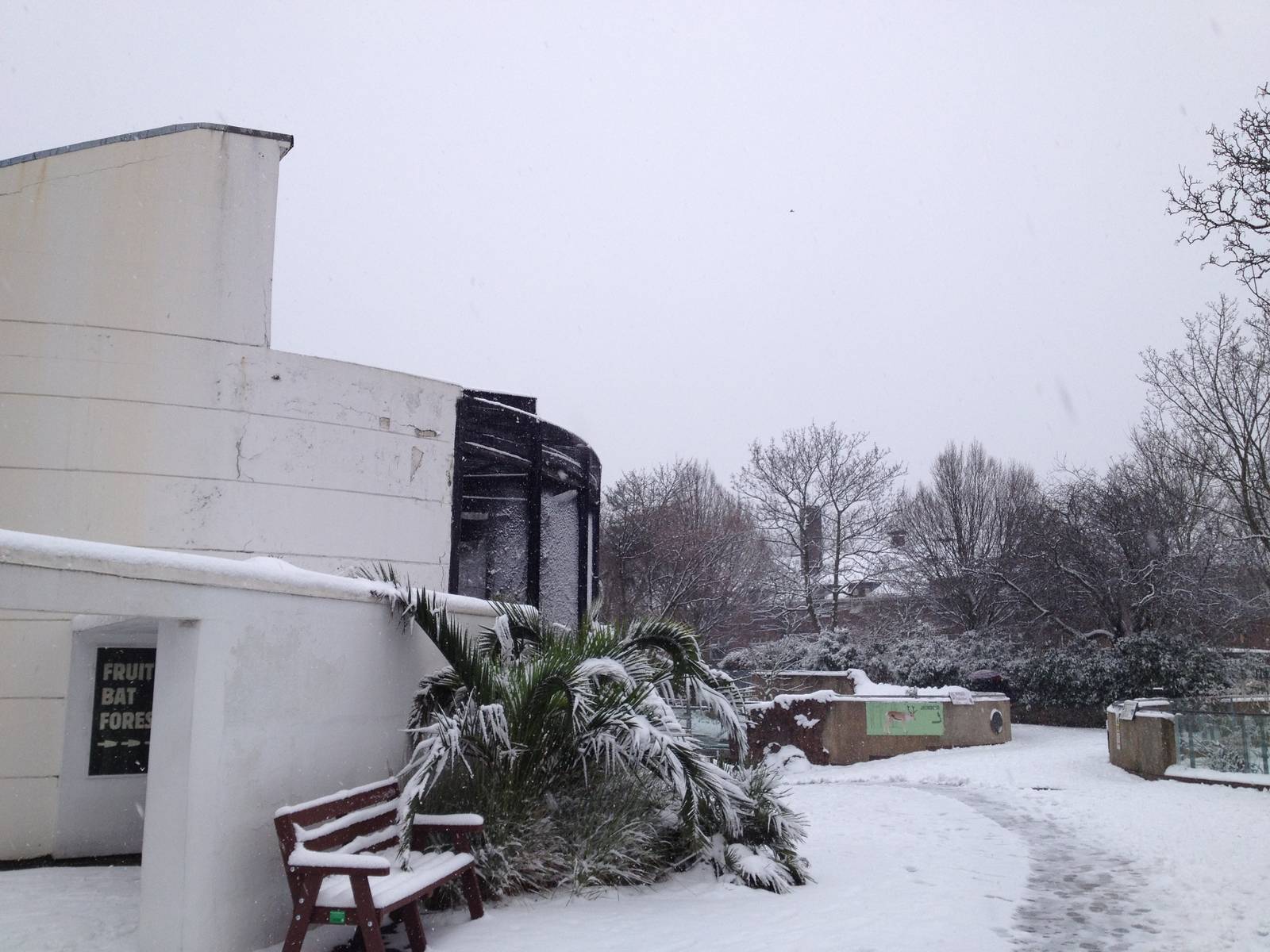 London Zoo January 2013