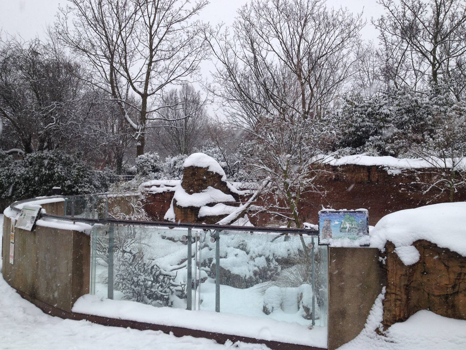 London Zoo January 2013