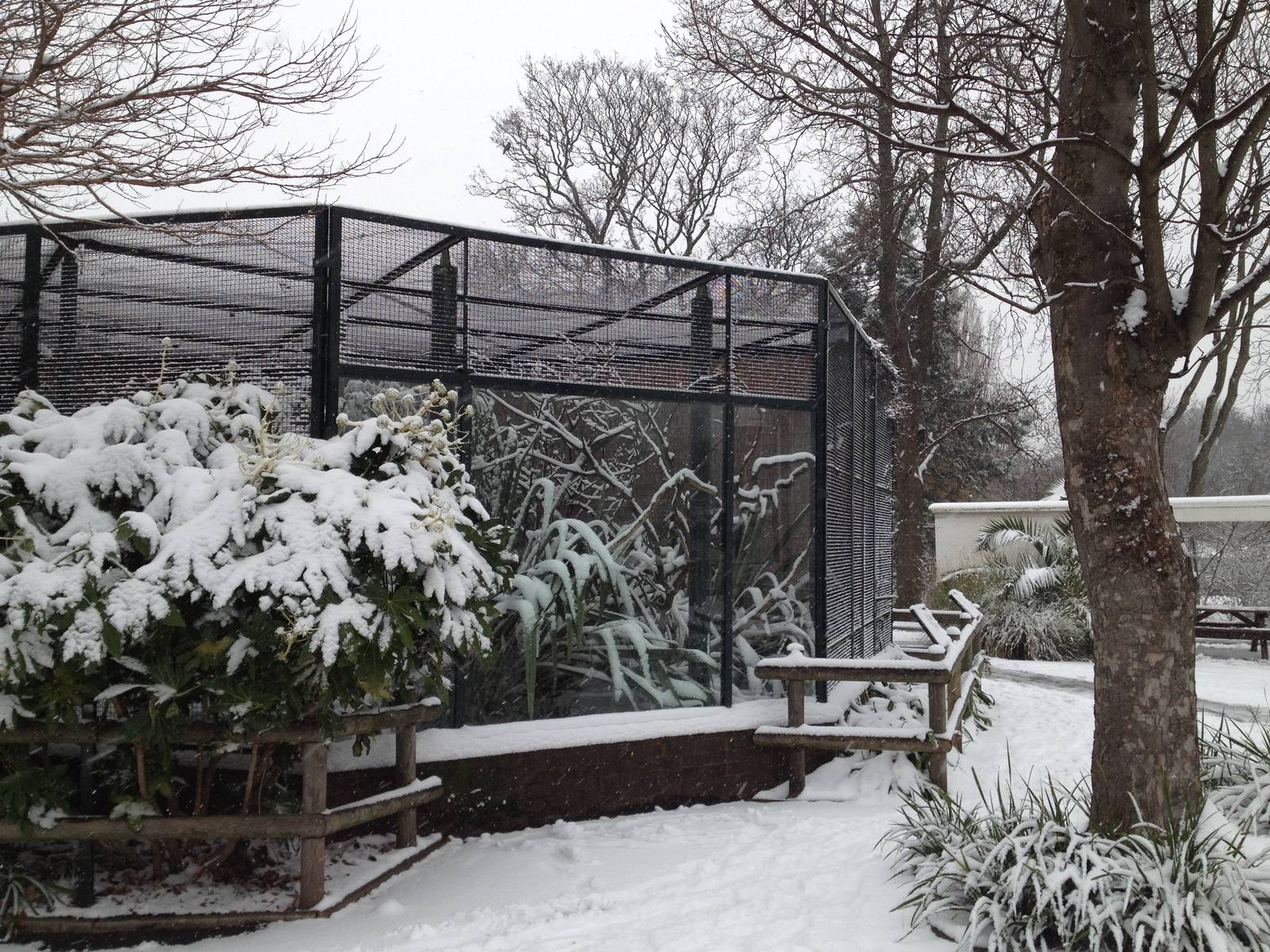 London Zoo January 2013