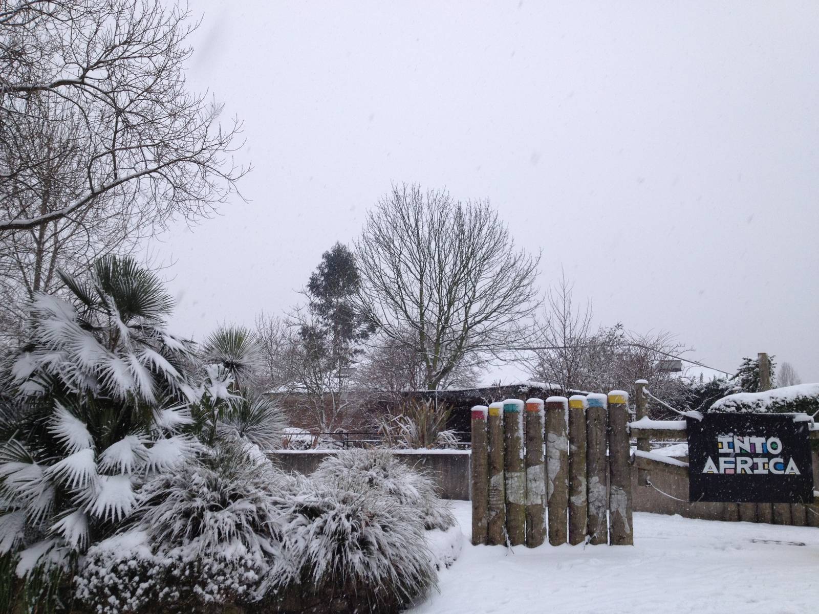 London Zoo January 2013