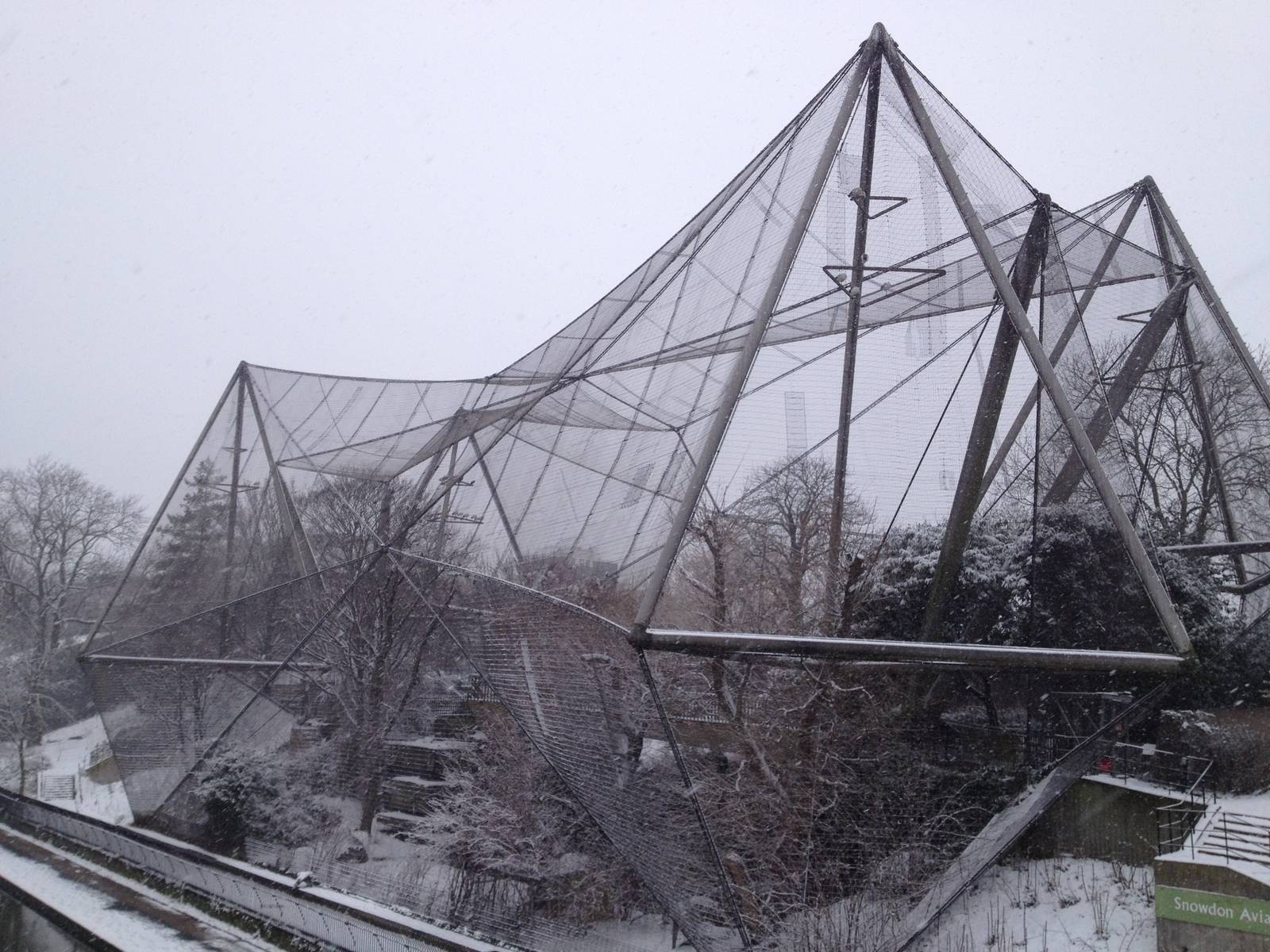 London Zoo January 2013